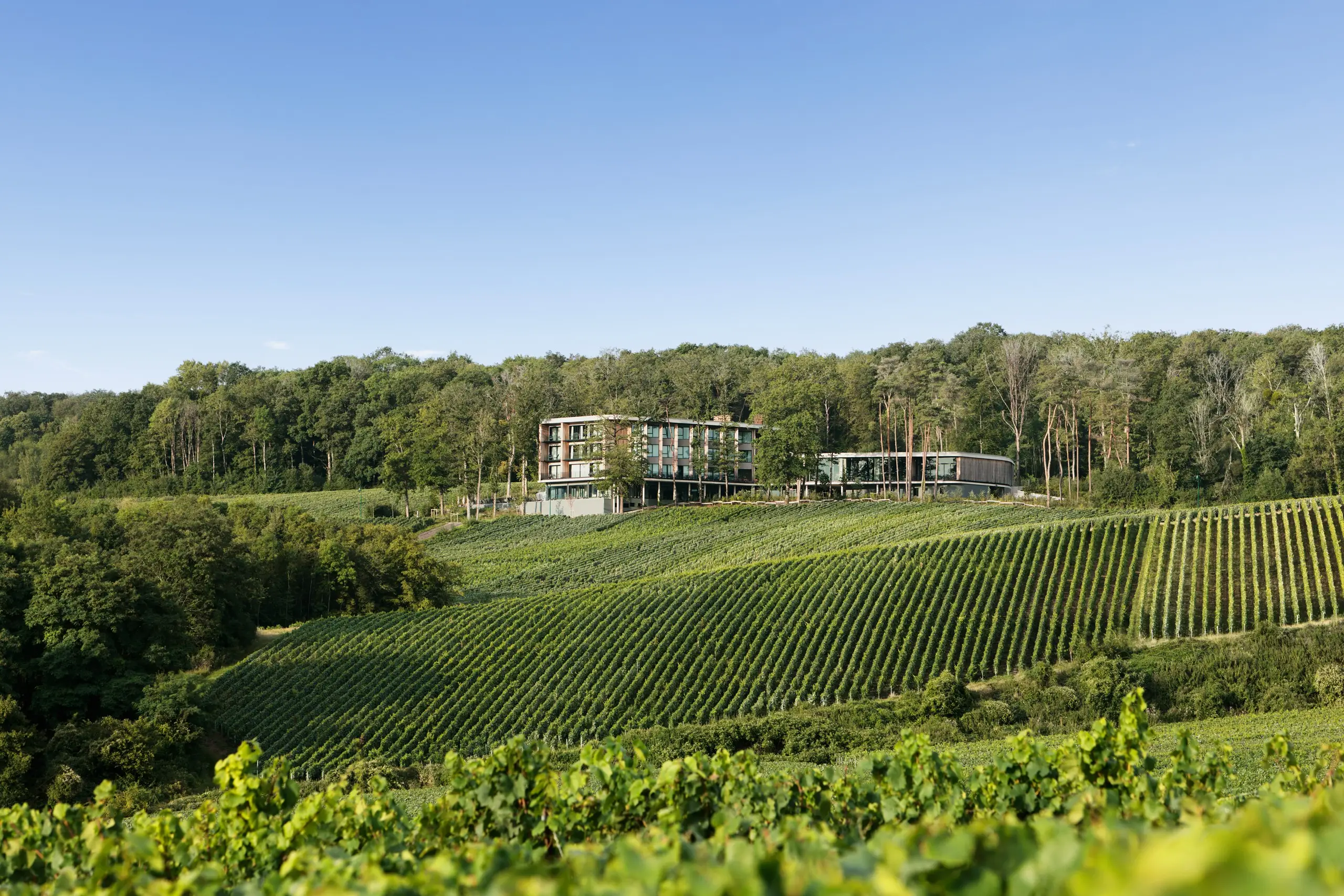 LOISIUM Wine & Spa Hôtel Champagne