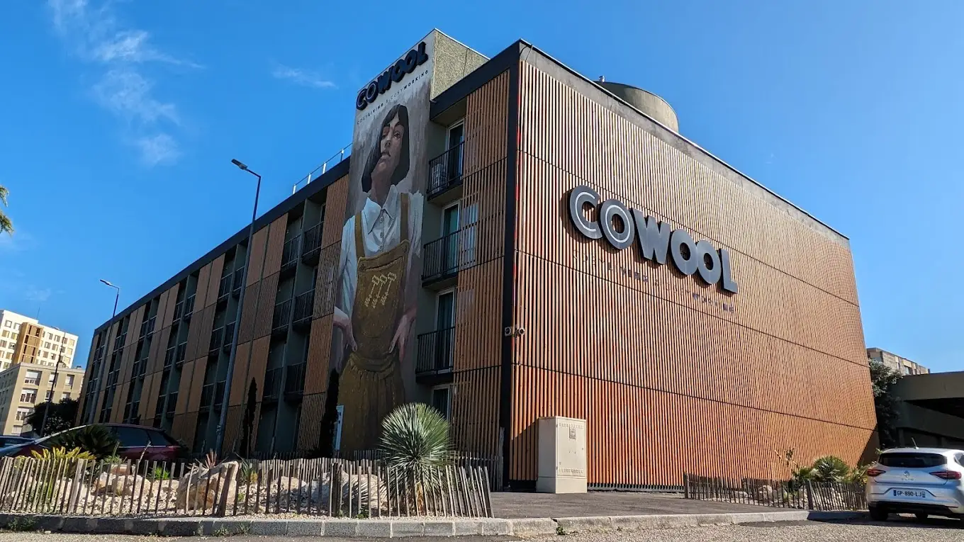 Cowool Avignon 10