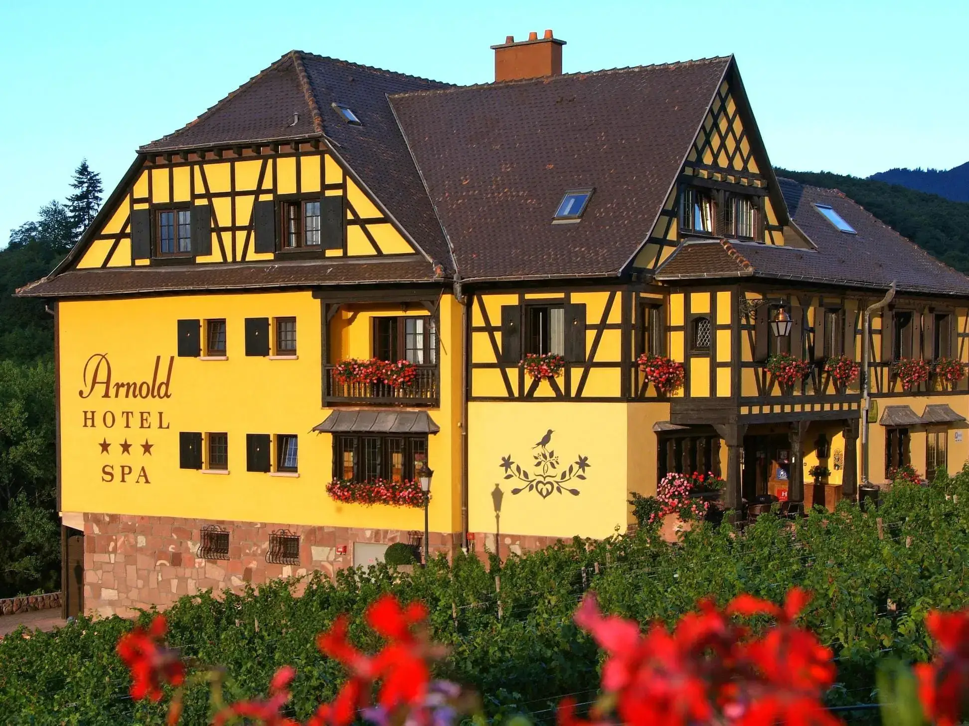 Hôtel Arnold 15