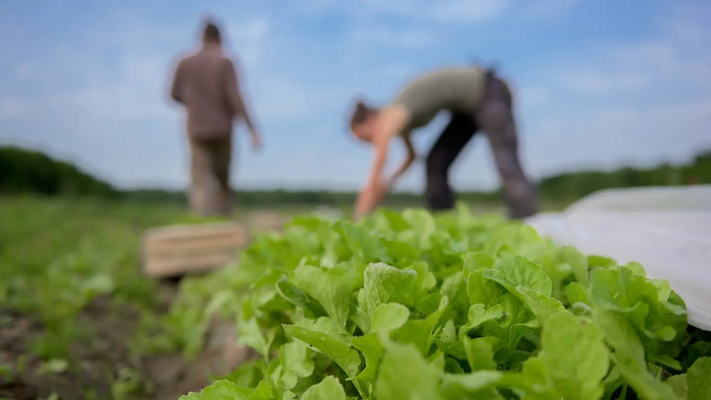 Le Village Potager 21