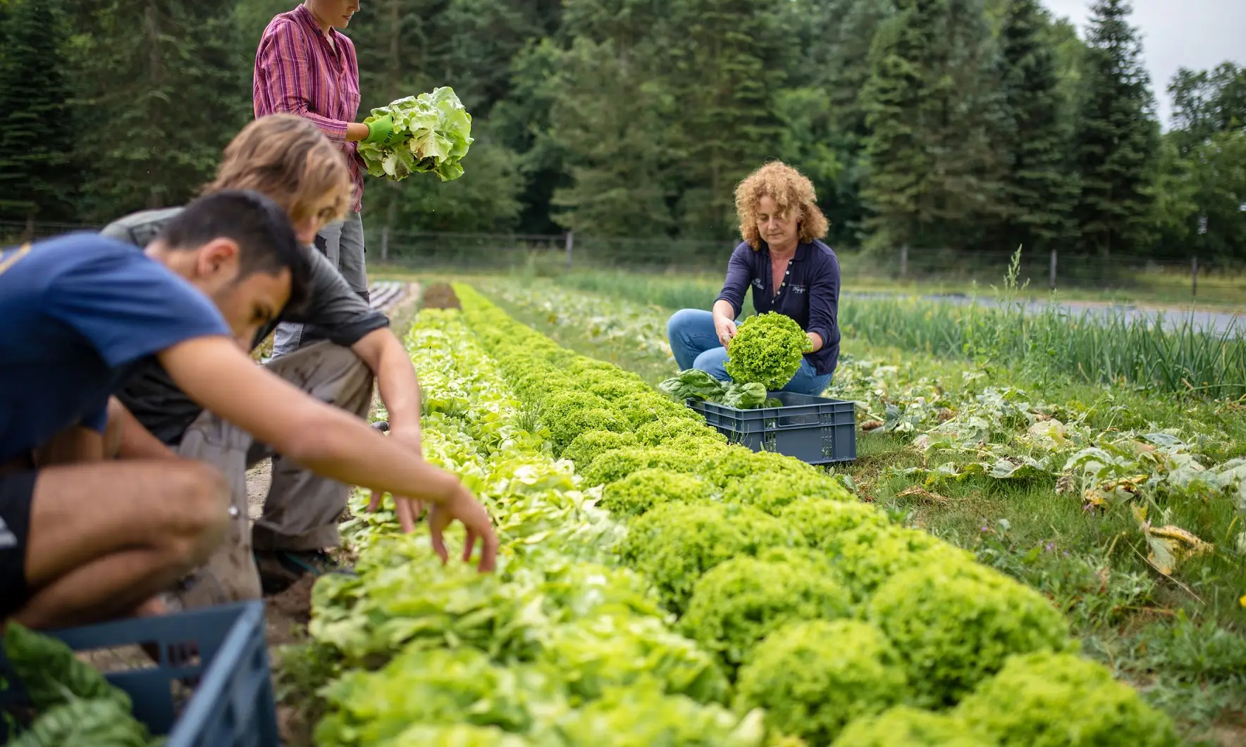 Le Village Potager 20