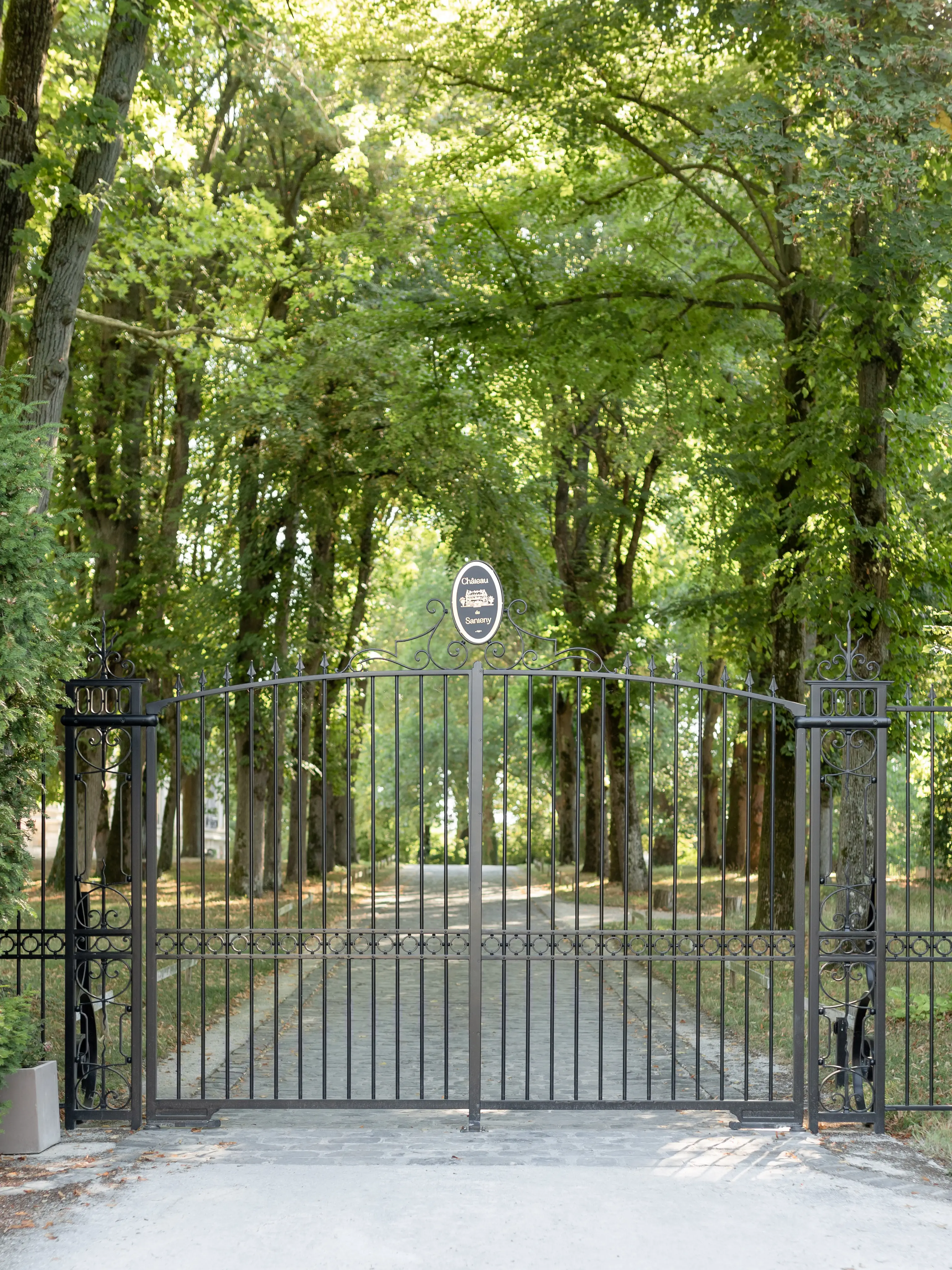 Château de Santeny 10