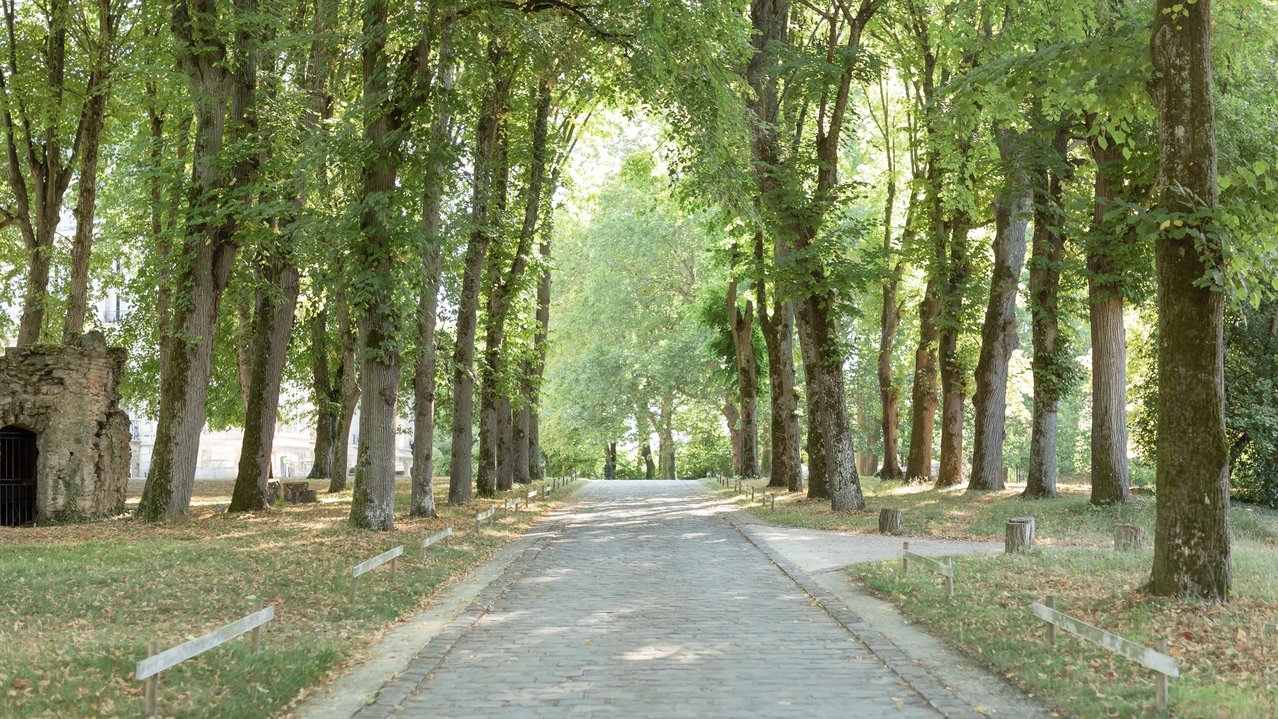 Château de Santeny 16