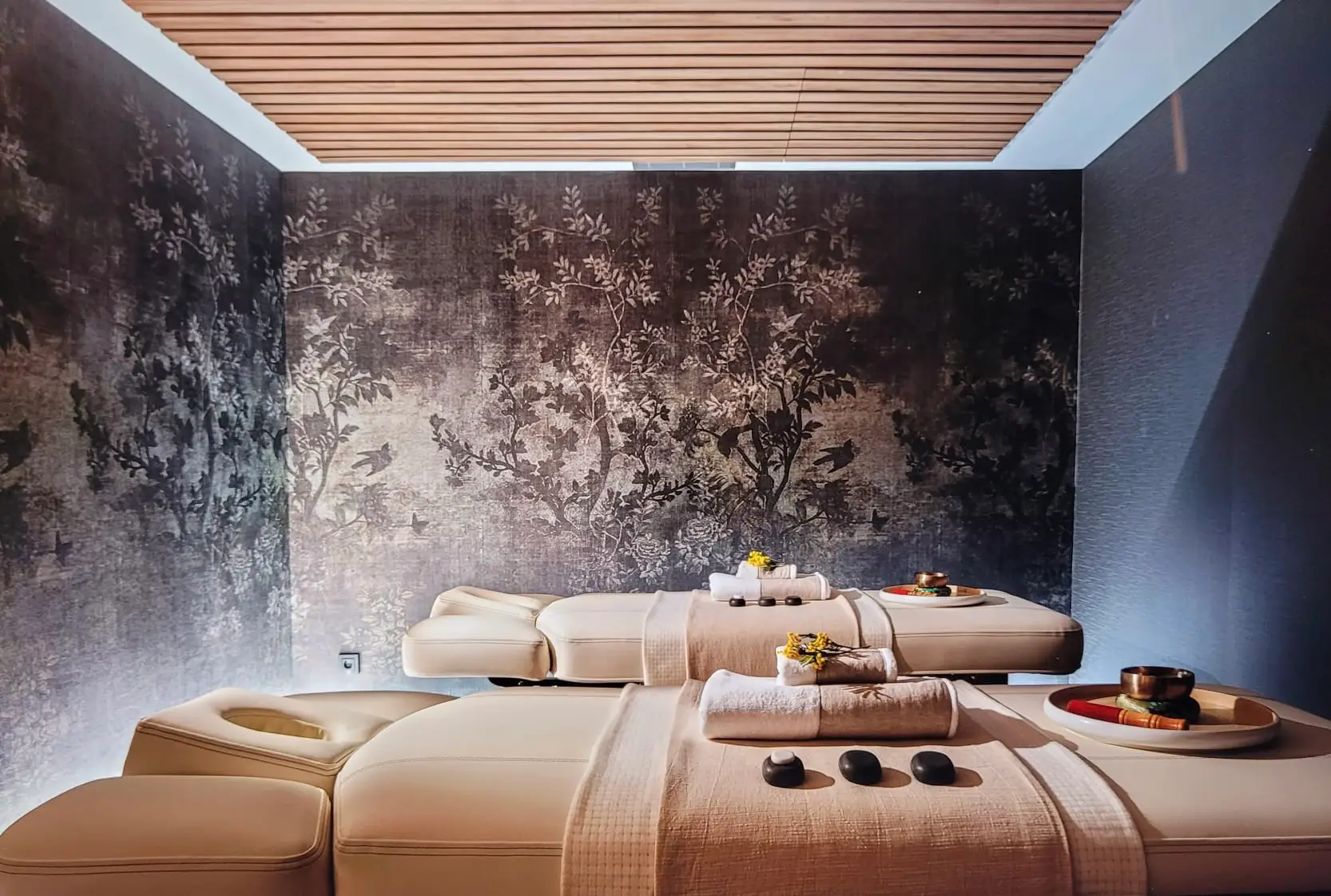 Anantara Plaza Nice Hotel 12