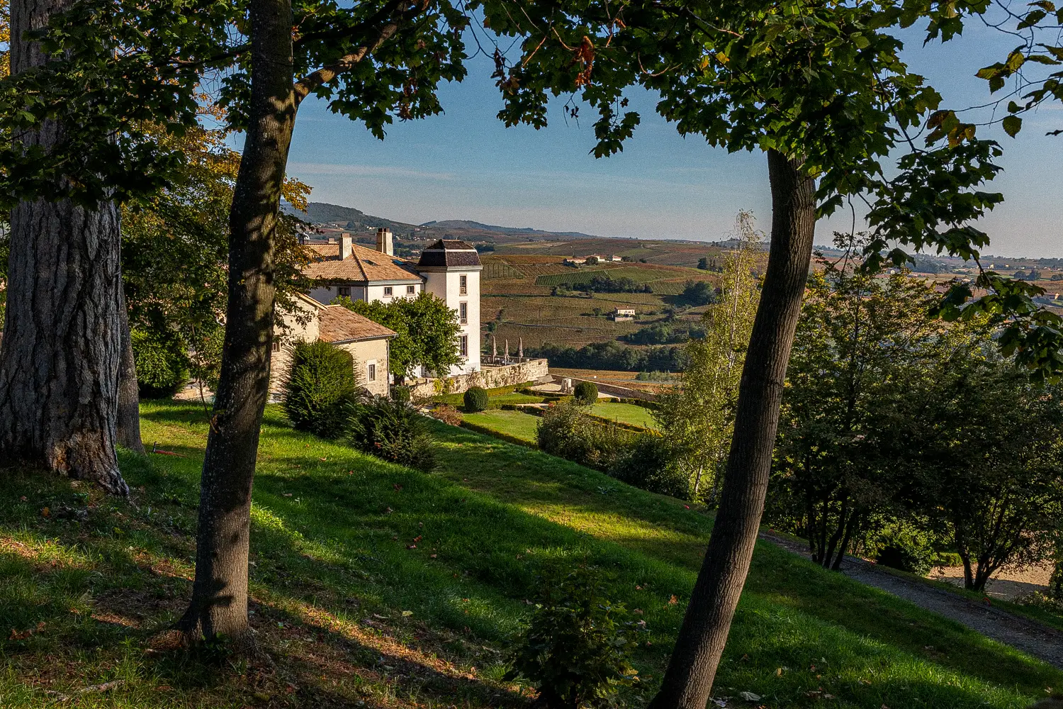 Château du Souzy 2