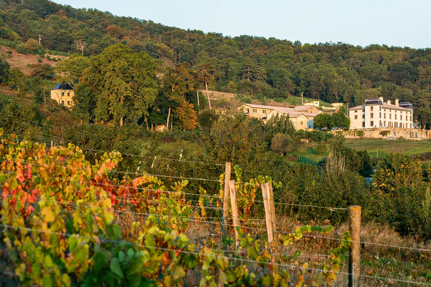 Château du Souzy 3