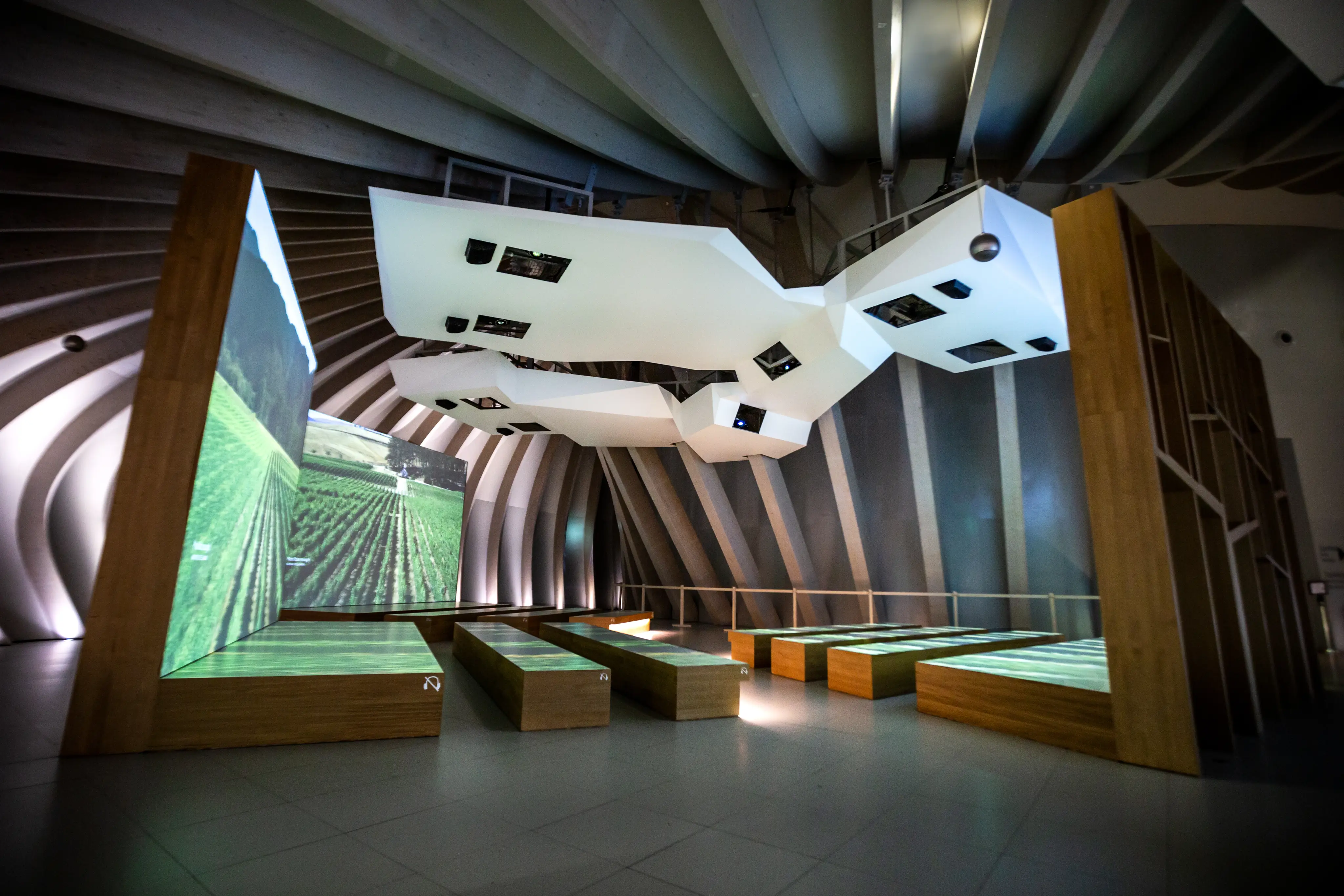 Cité du Vin 6