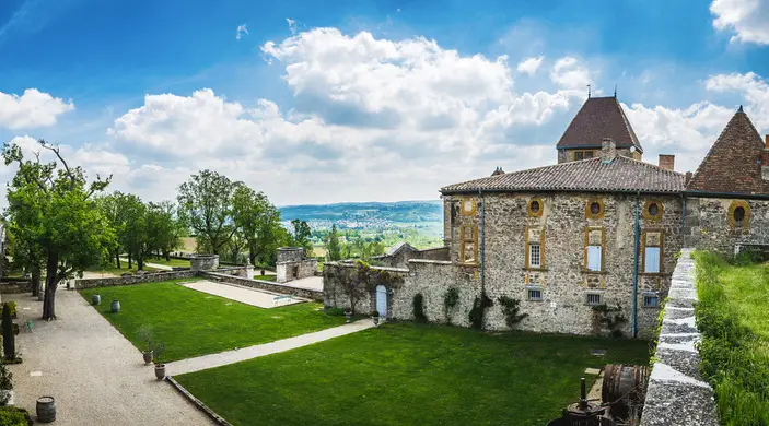 Château La Gallée 8