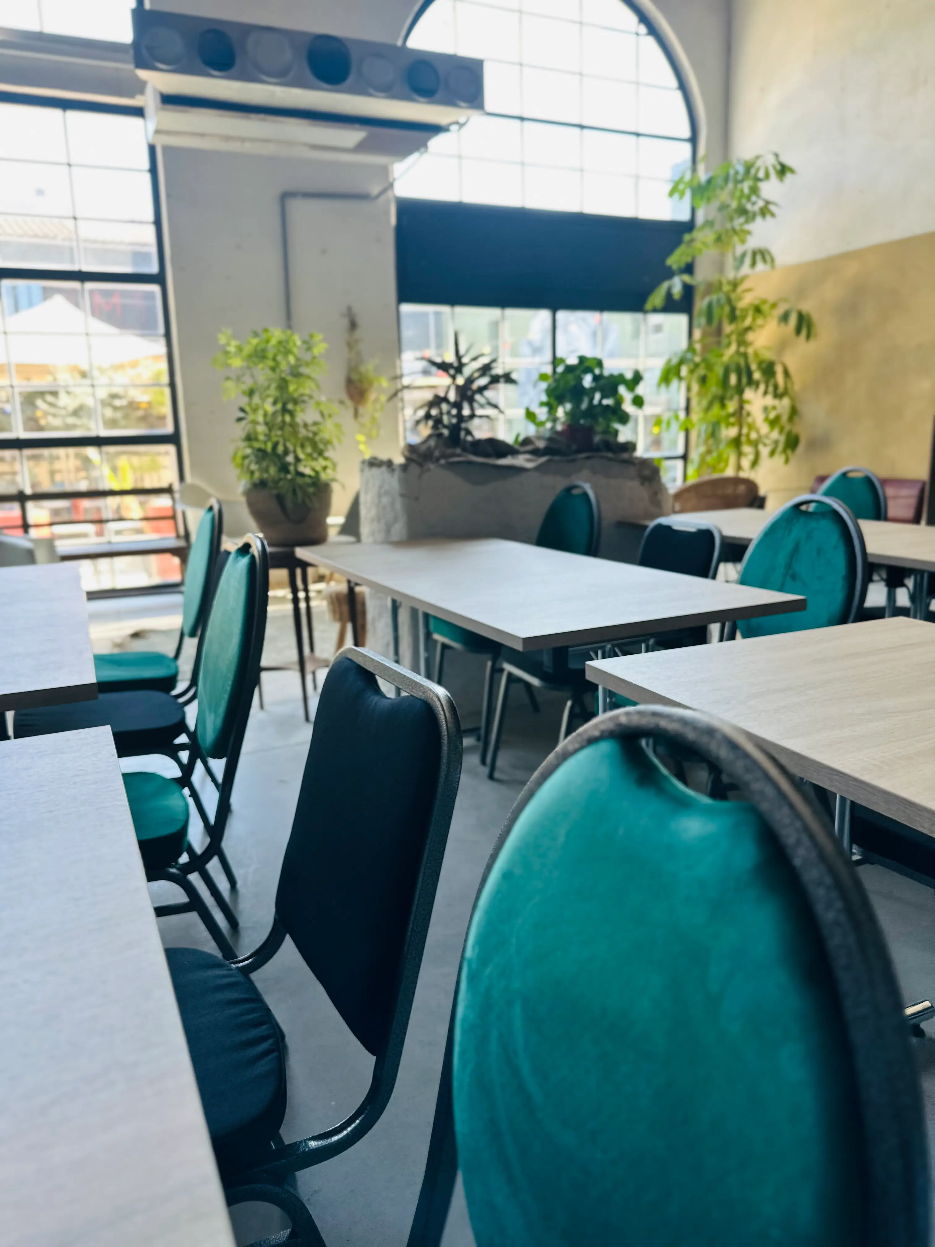 Marché du Lez - La Maison du Lez 6