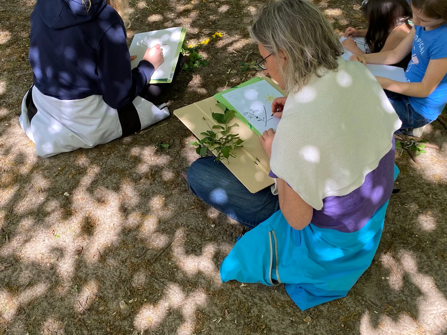 Nature Peinture 9