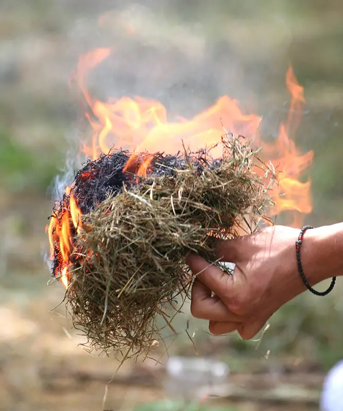 Primitive Technology