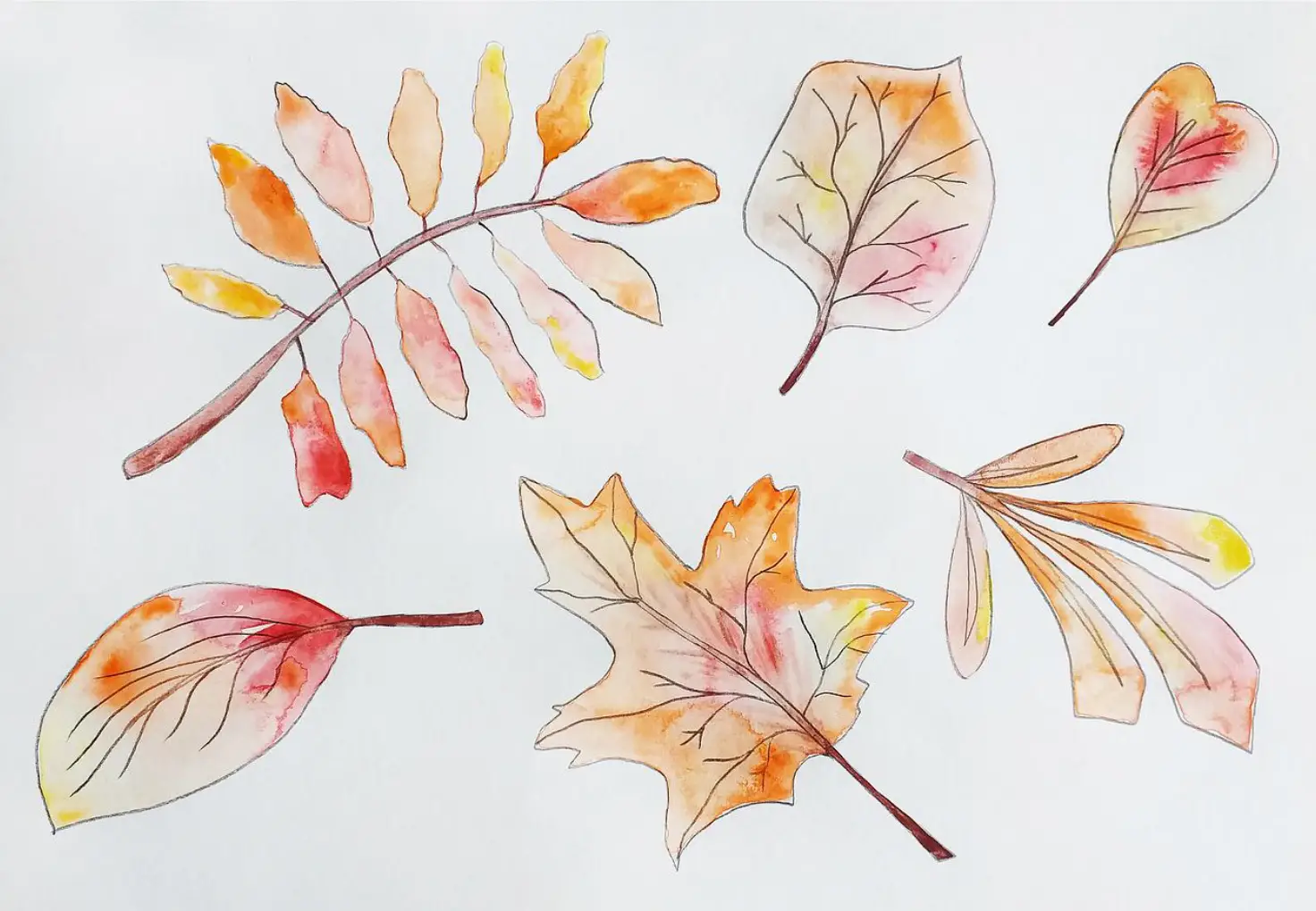 Nature Peinture 10