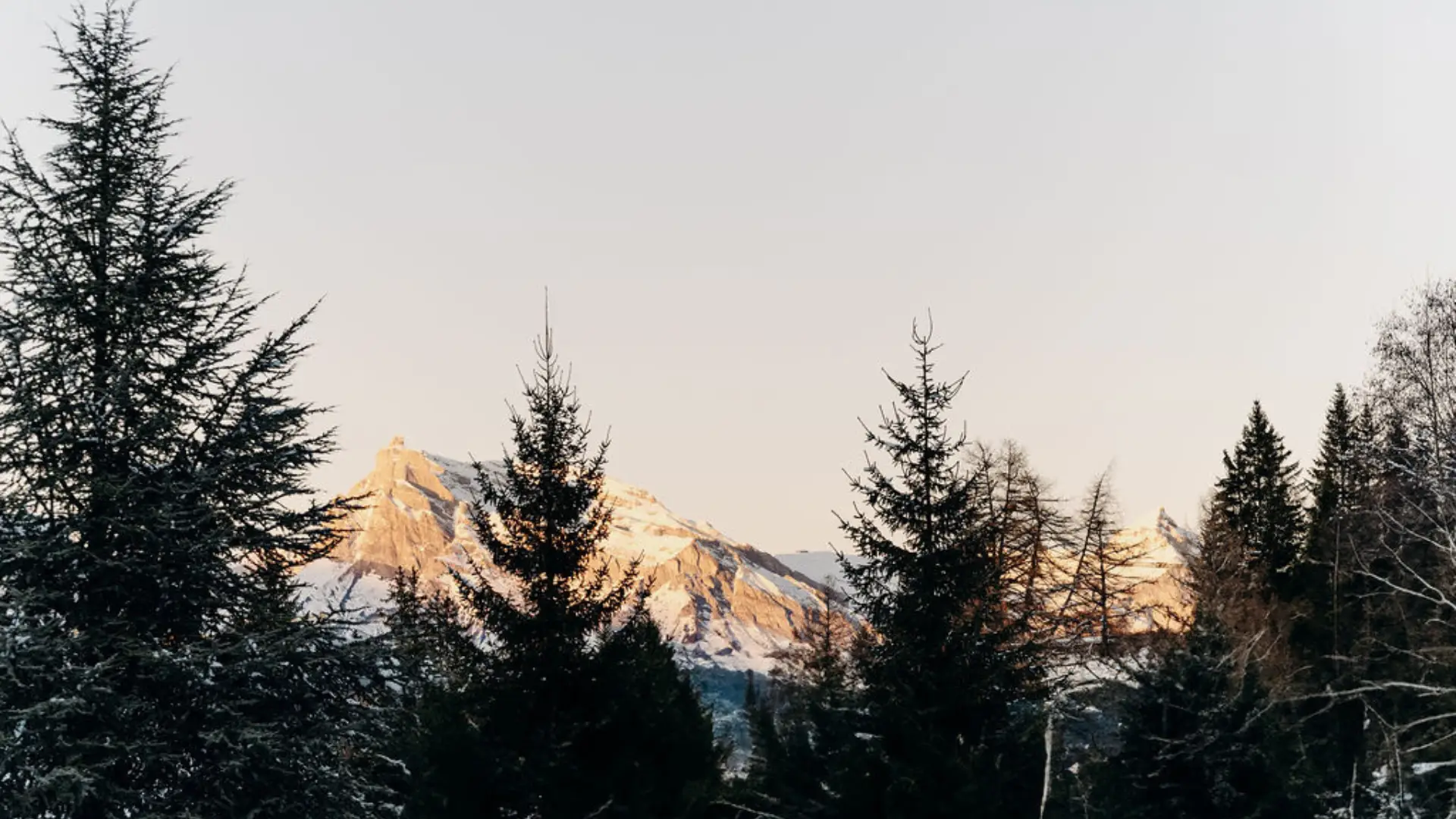 Les Chalets du Mont d'Arbois 5
