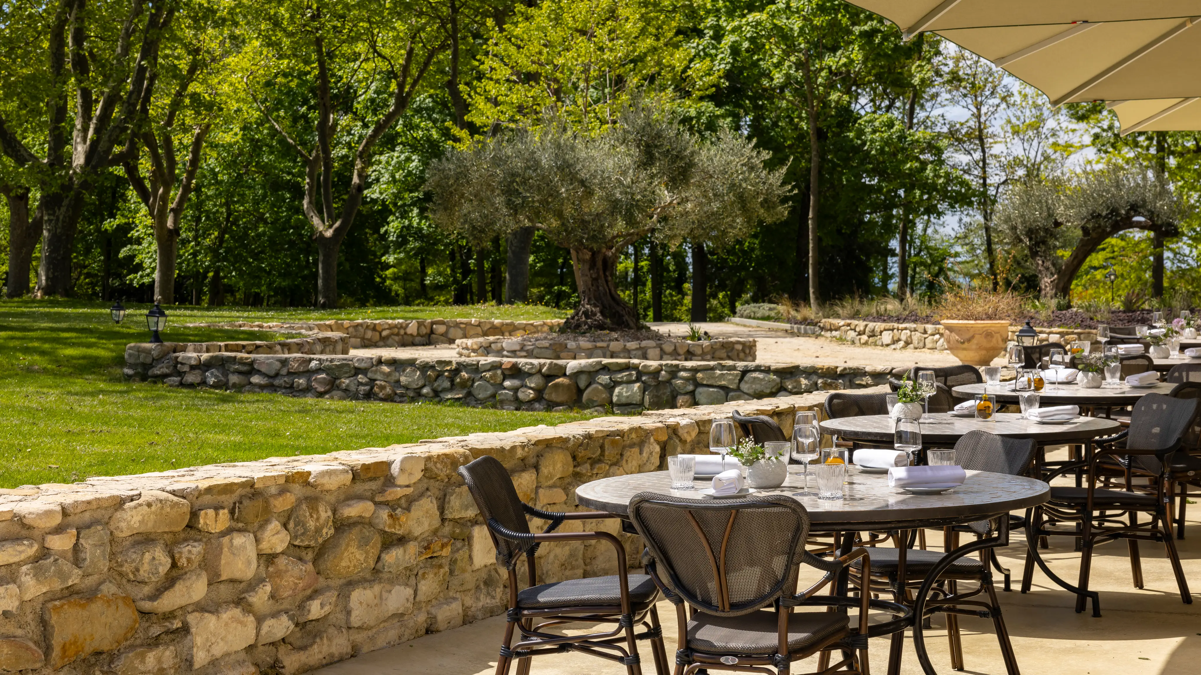 Le Château les oliviers de Salettes 3