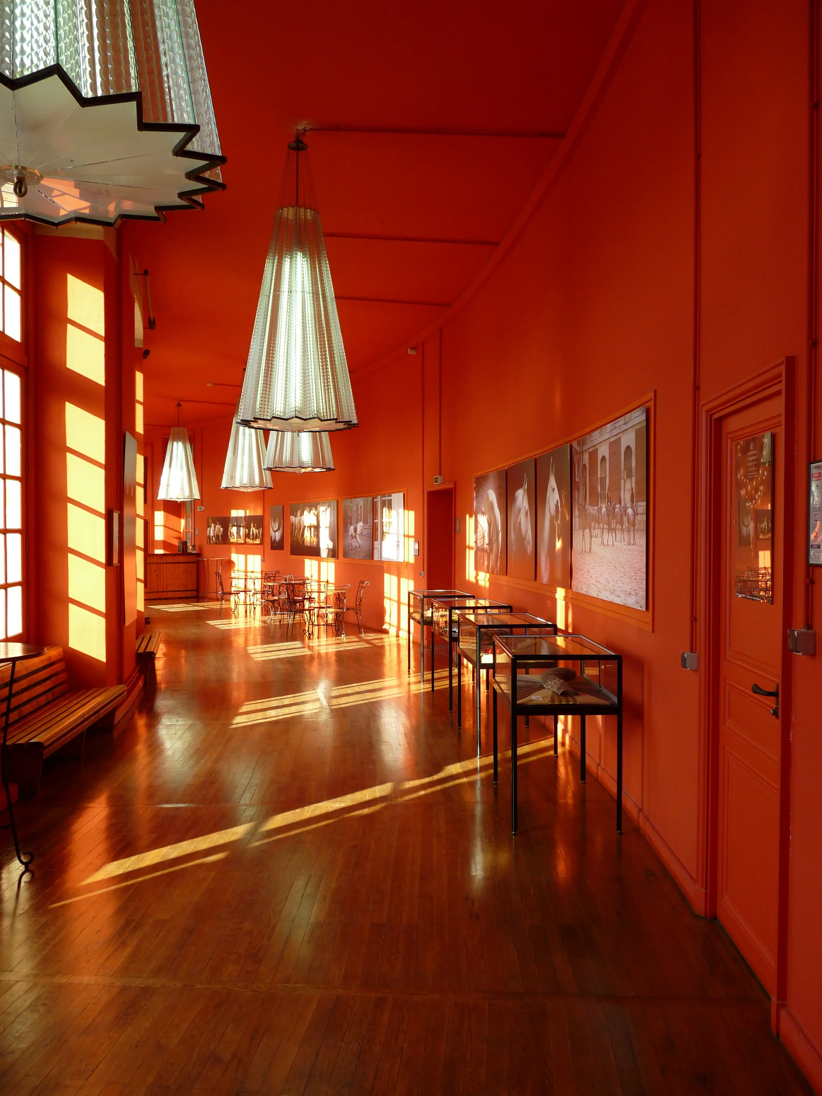 Académie Équestre de Versailles 11