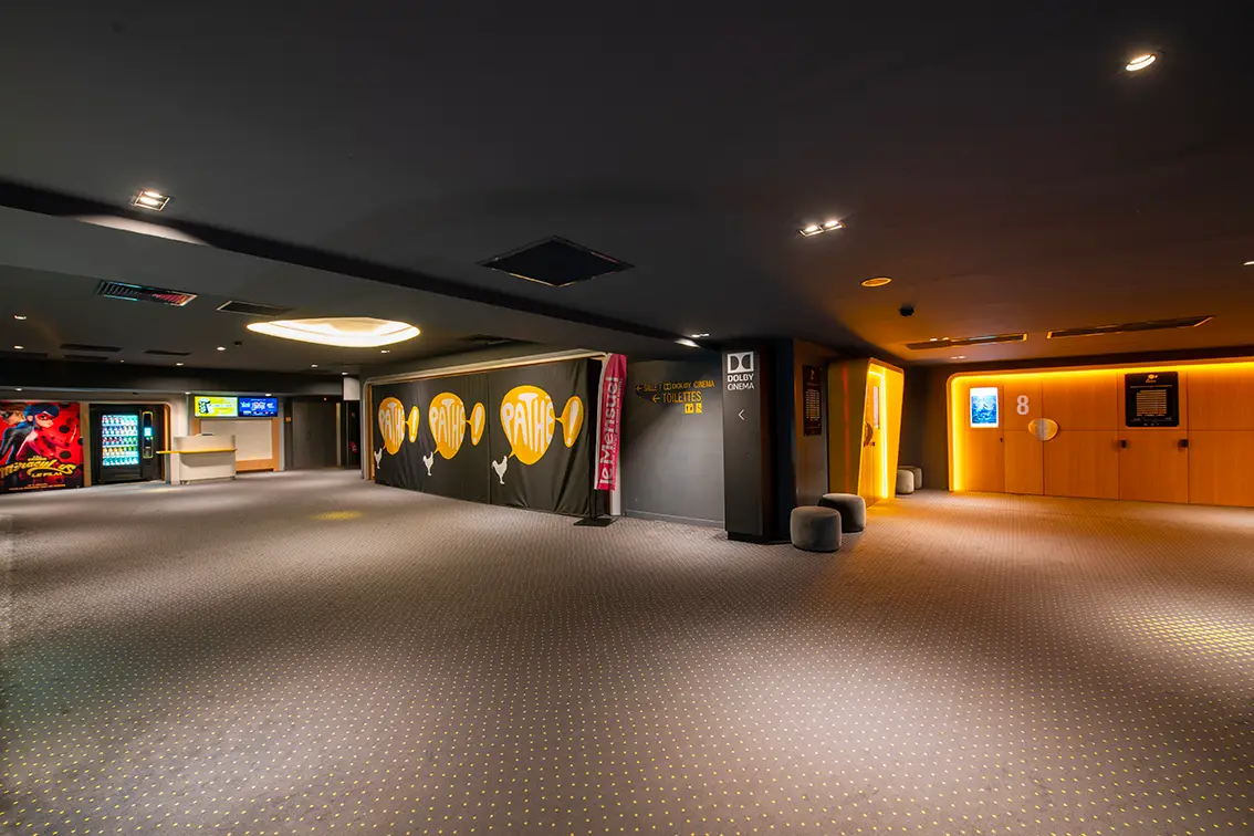 Pathé Gare du Sud 12