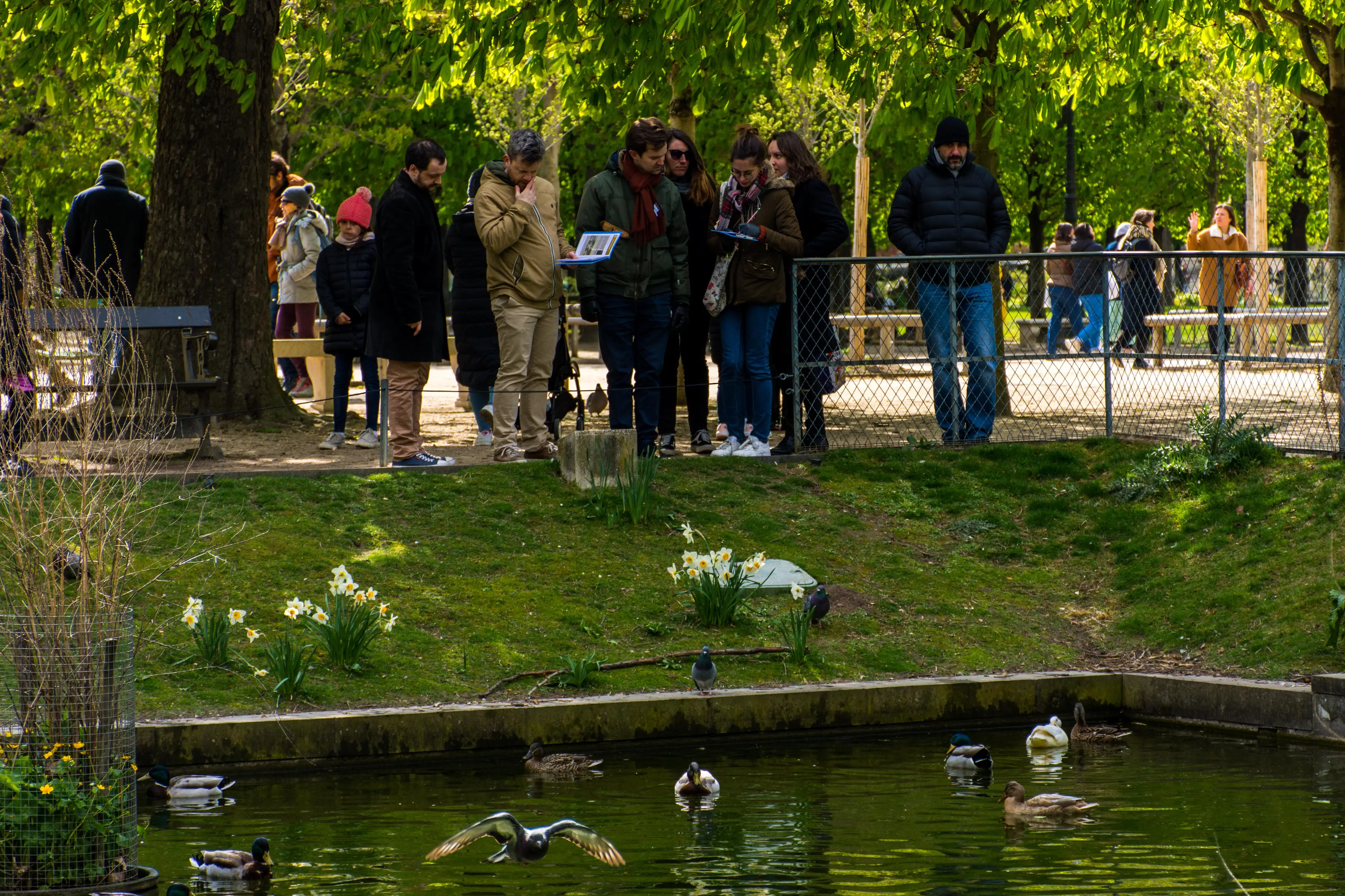 Chasse au trésor team building Tuileries 7