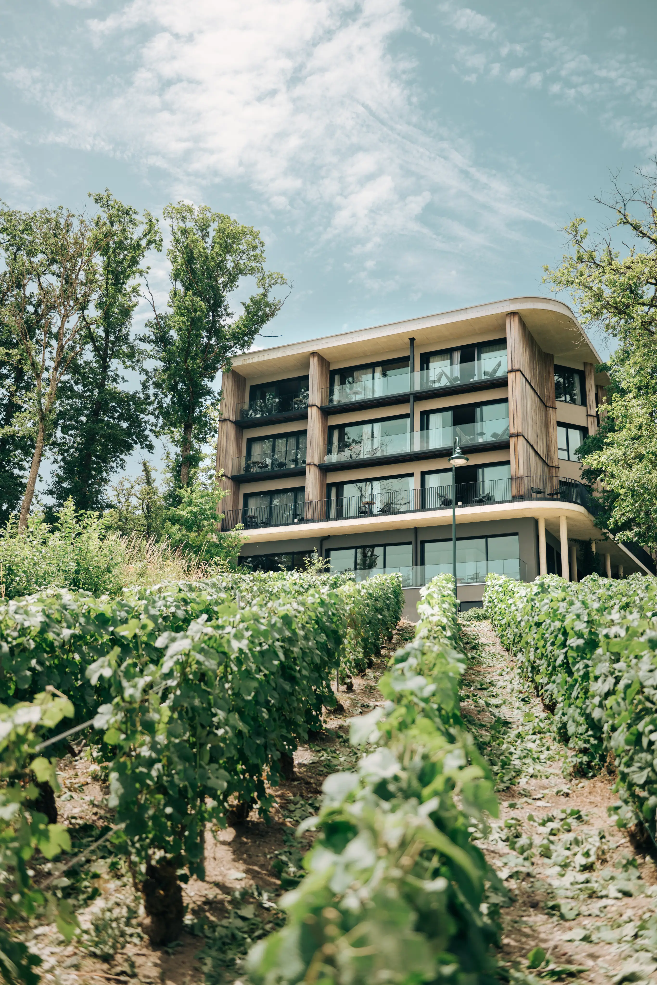 LOISIUM Wine & Spa Hôtel Champagne 3