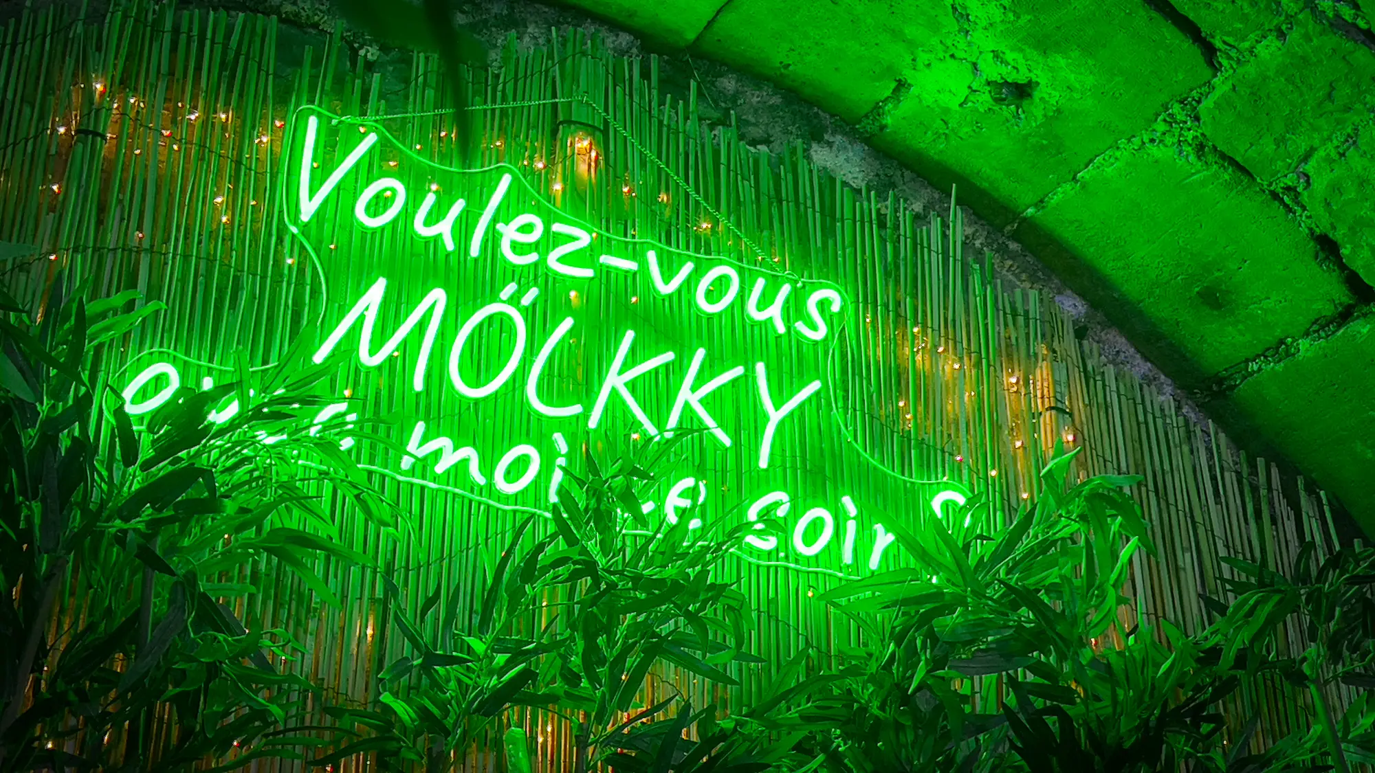 Paris Clandestin 14