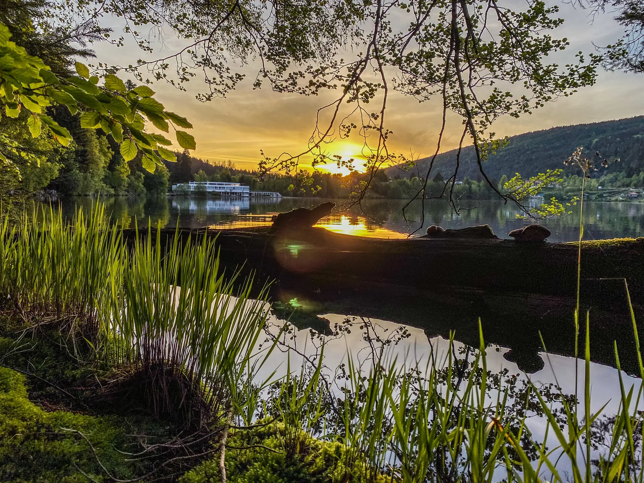 Lido Gérardmer 2