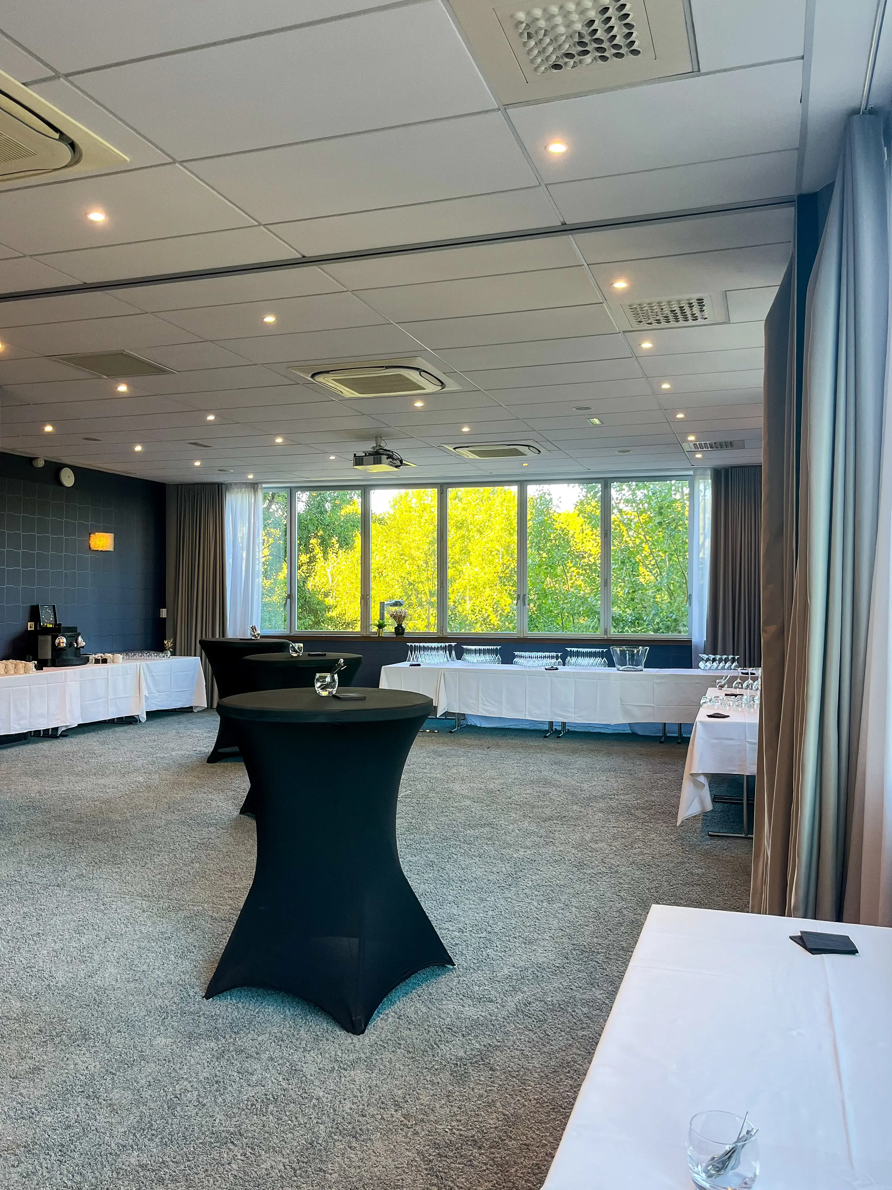 Best Western Plus Isidore 10