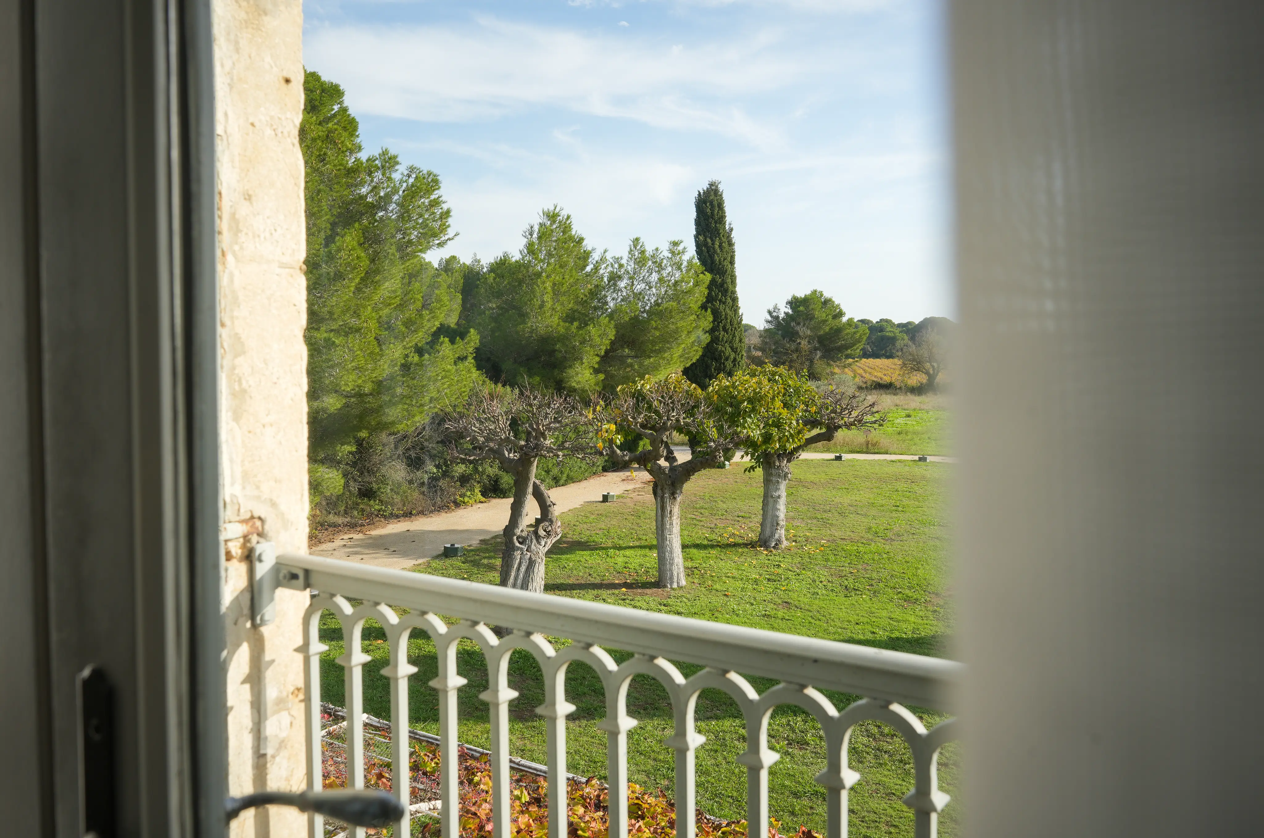 Domaine du Mas Neuf 10