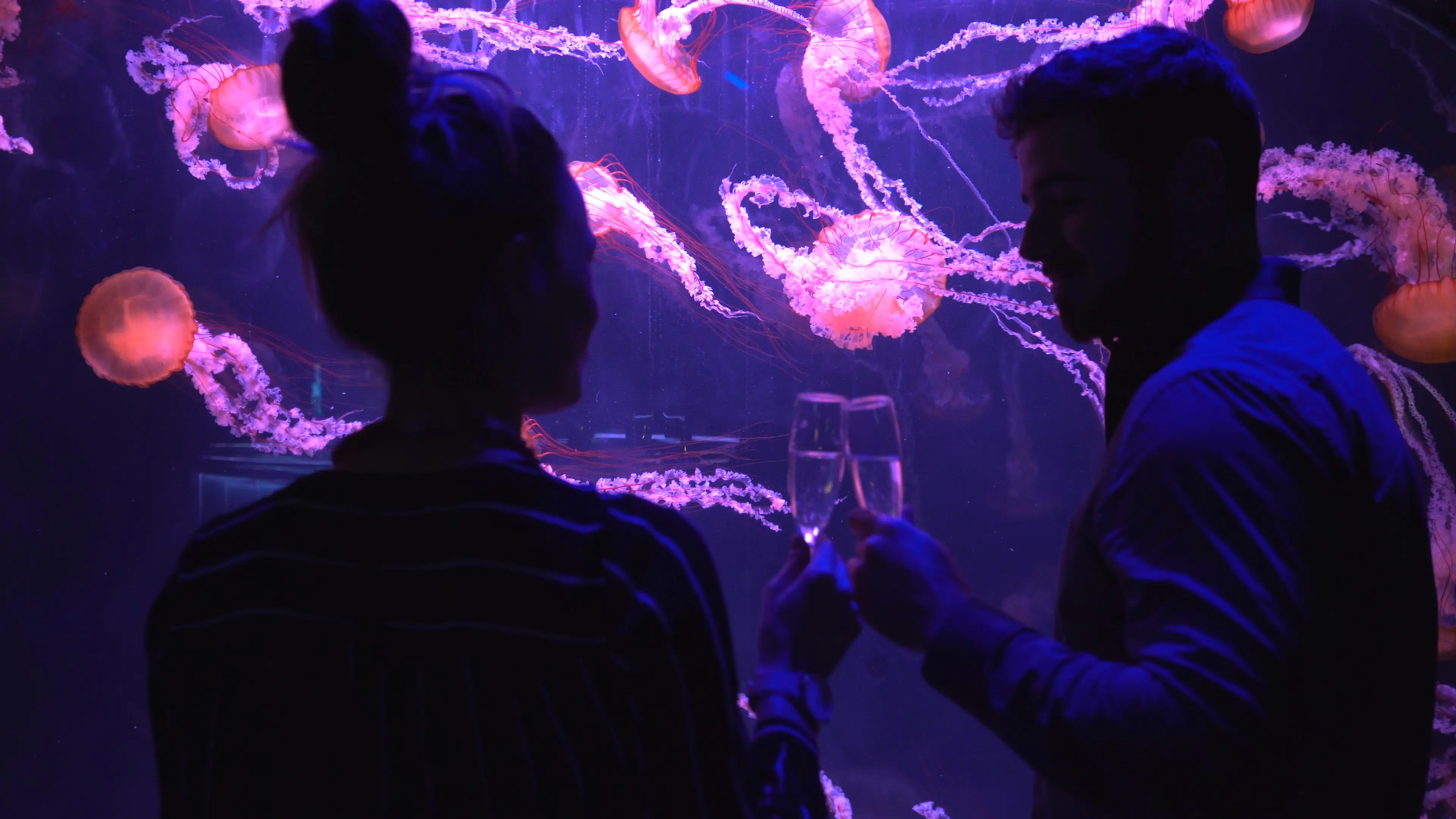 Aquarium de Paris 23