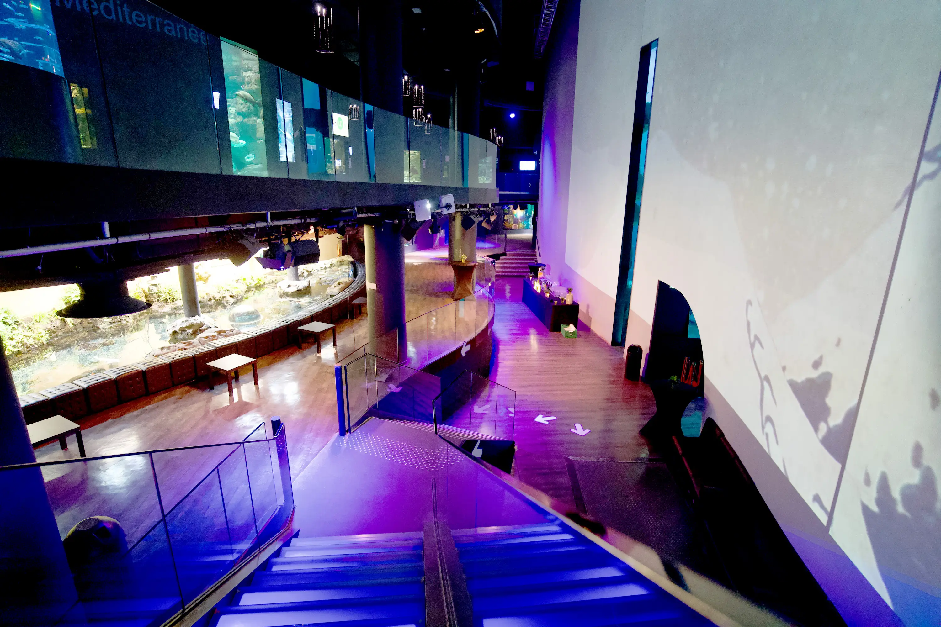 Aquarium de Paris 28