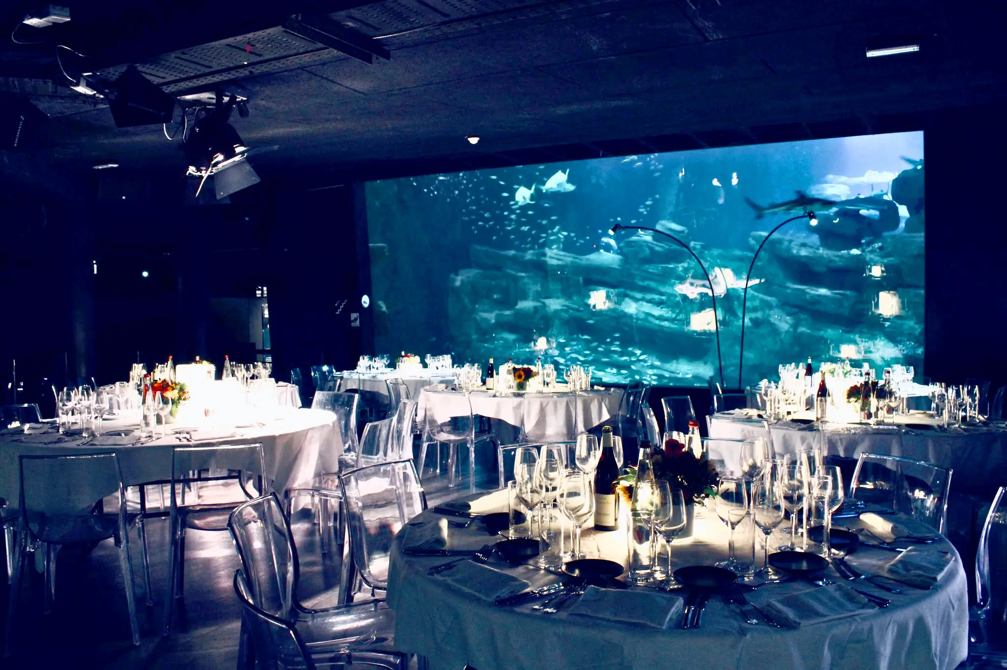 Aquarium de Paris 31