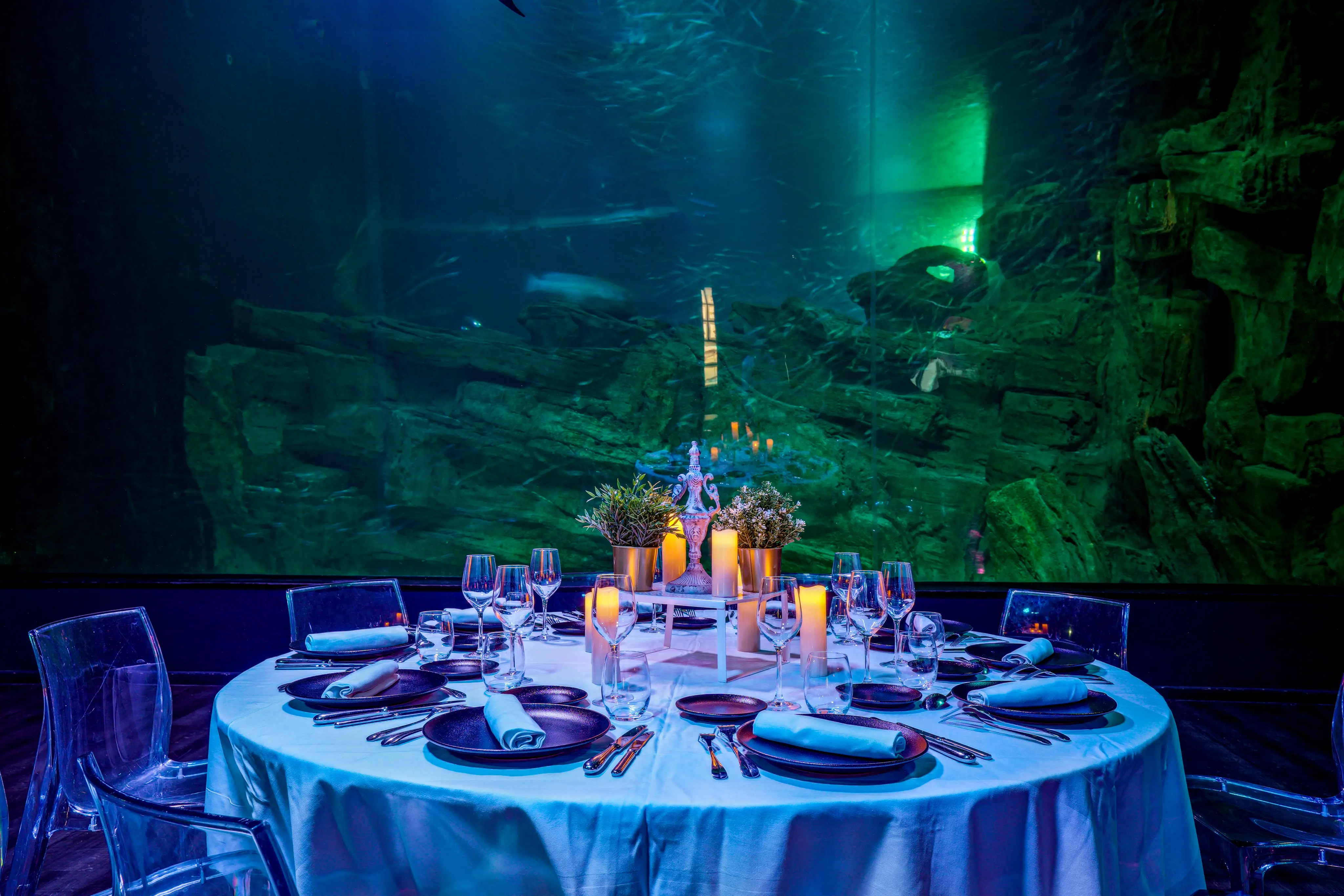 Aquarium de Paris 35