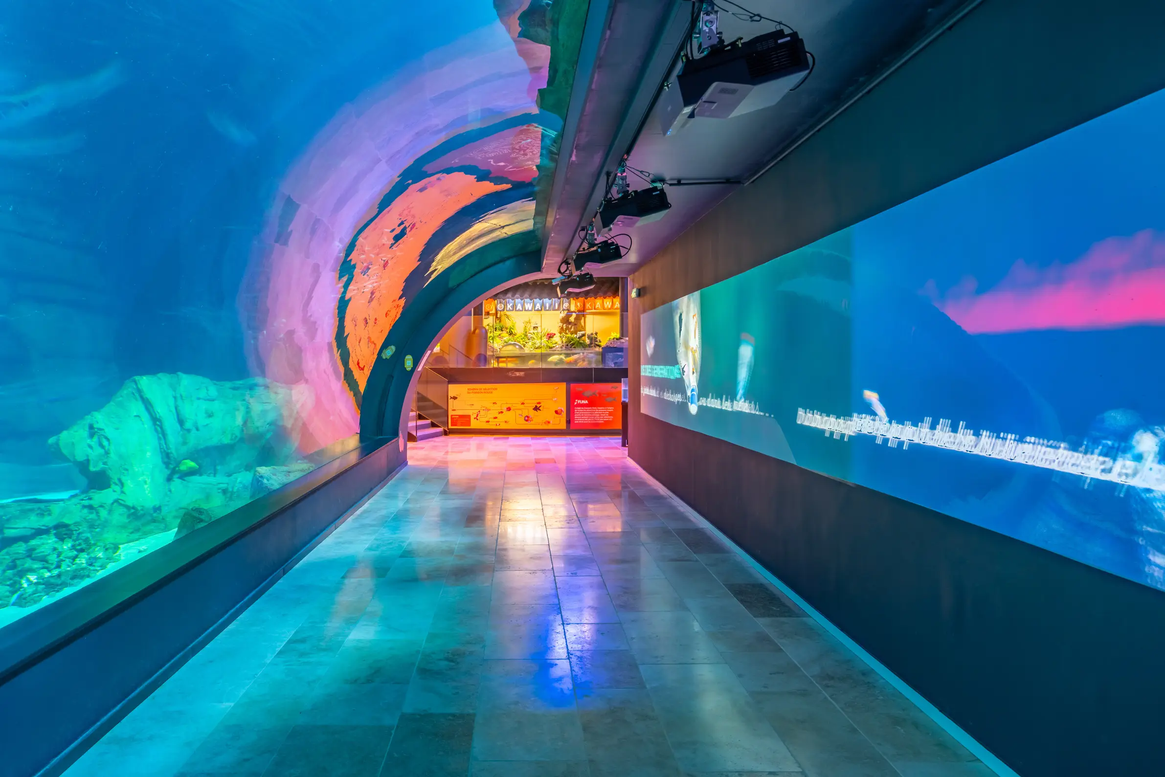 Aquarium de Paris 36