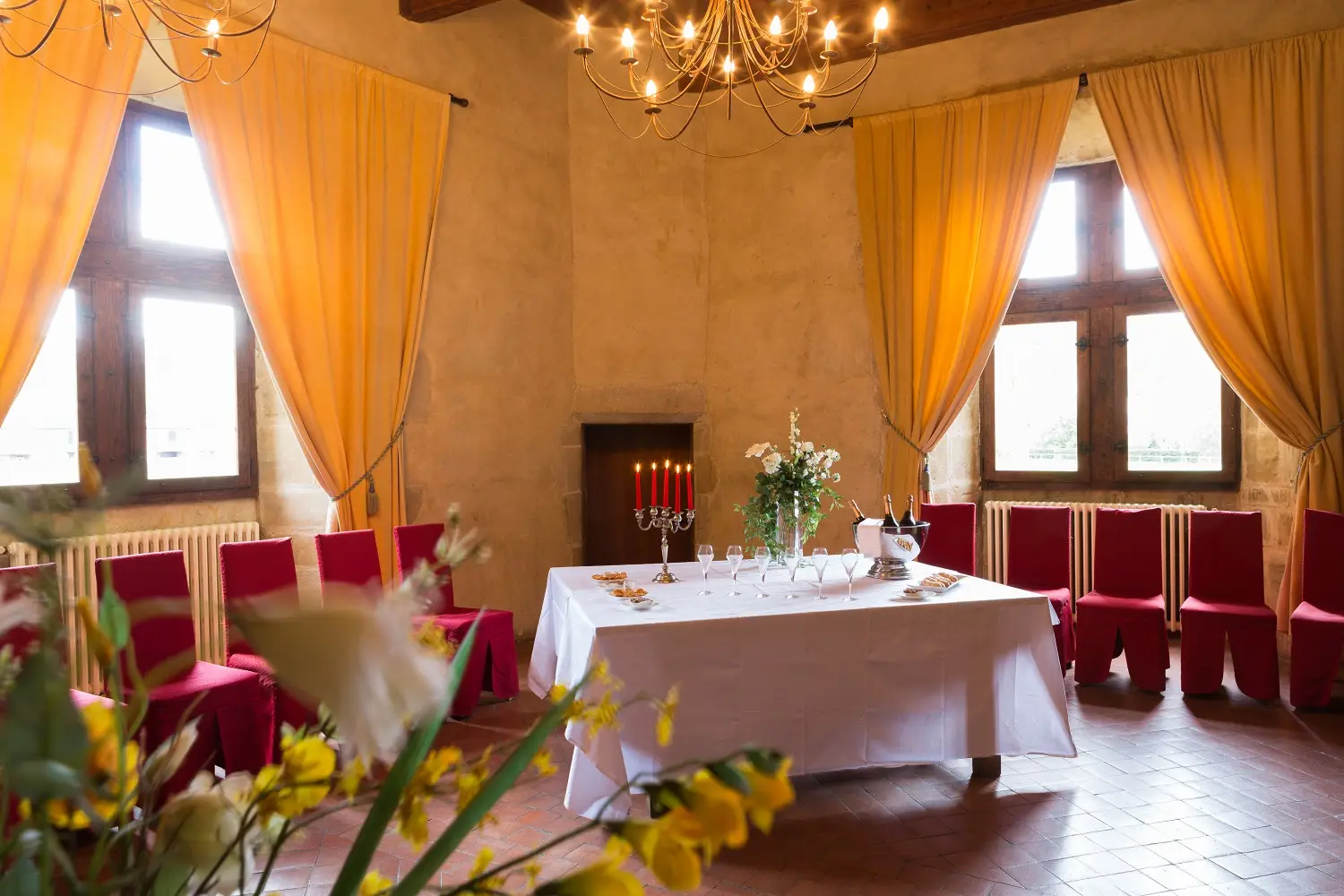 Château des Ducs de Joyeuse 29