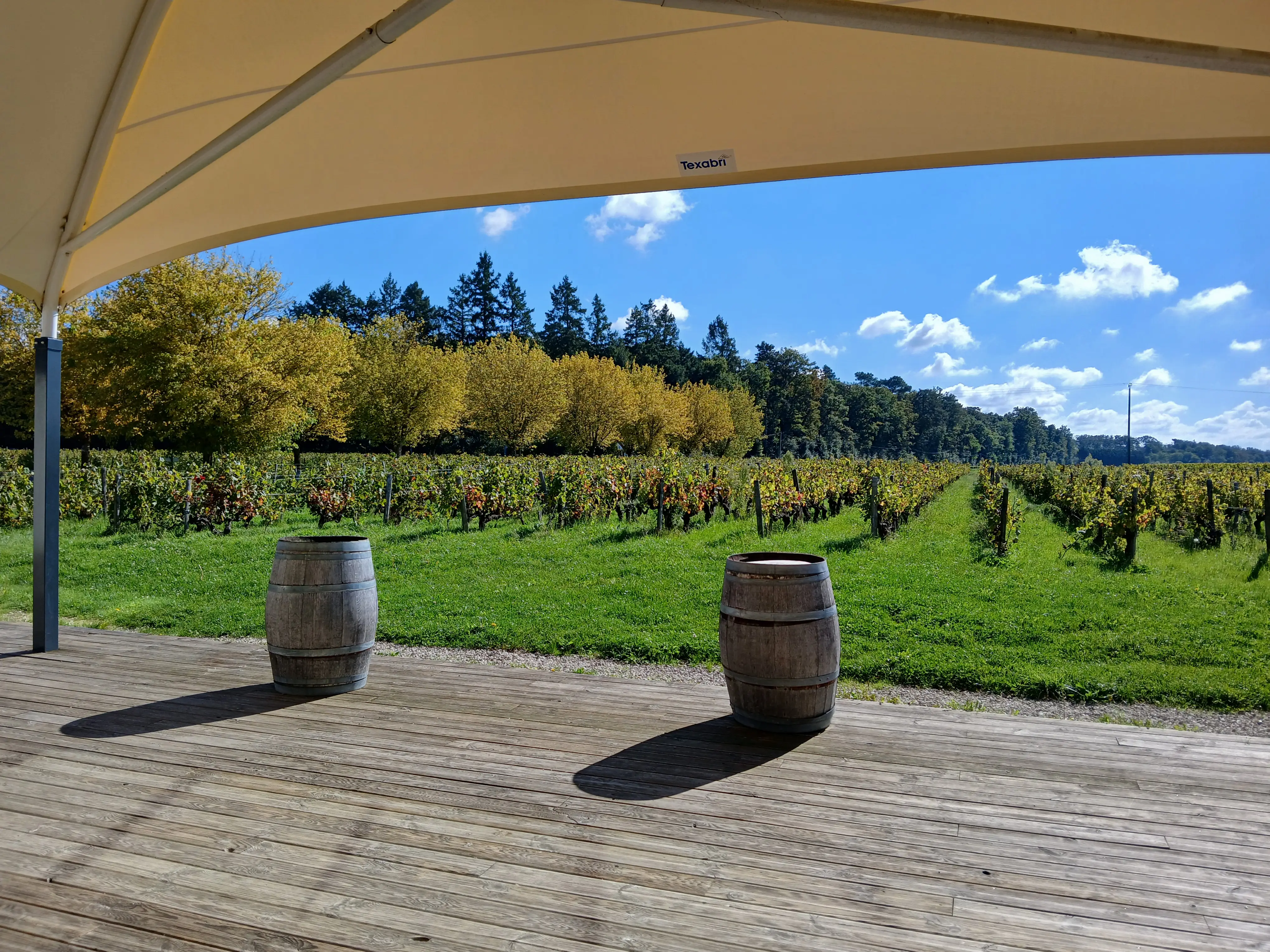 Domaine La Porte Dorée 3