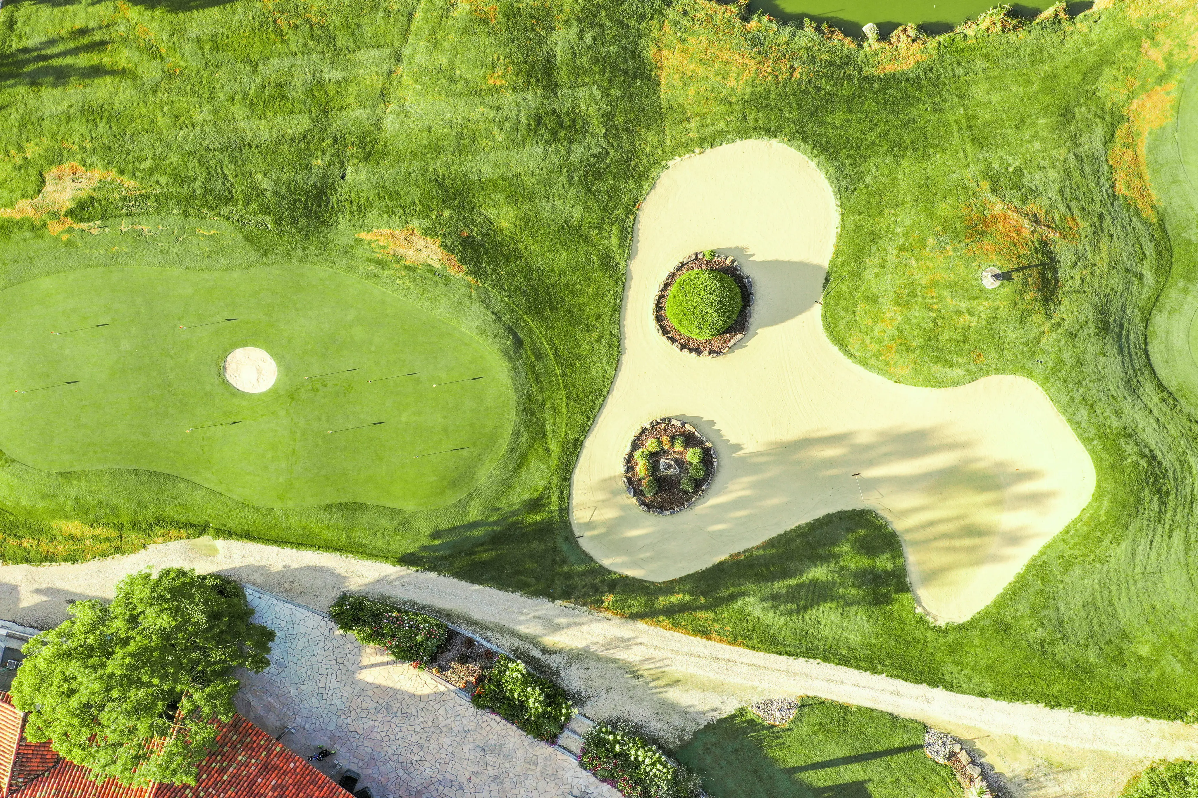 Golf de la Bresse 11