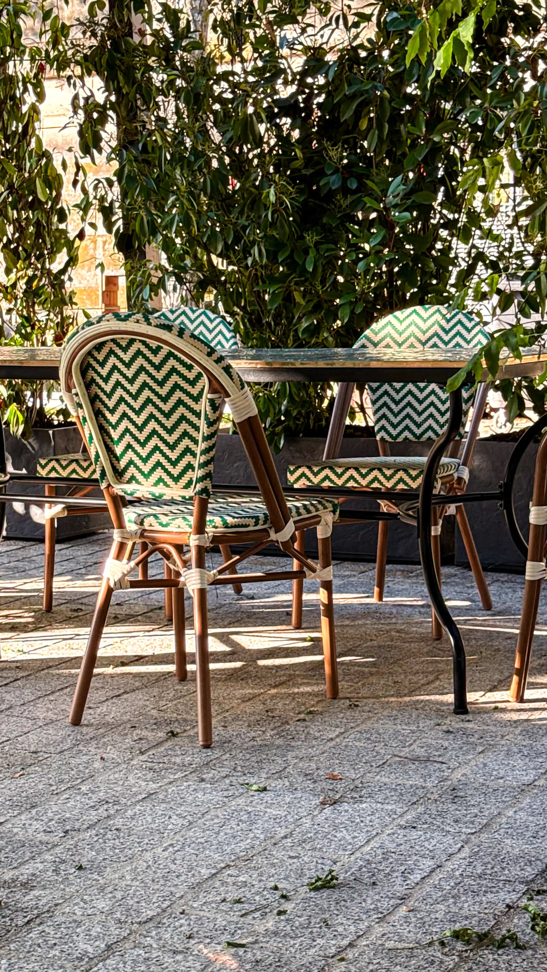 La Provencale 22