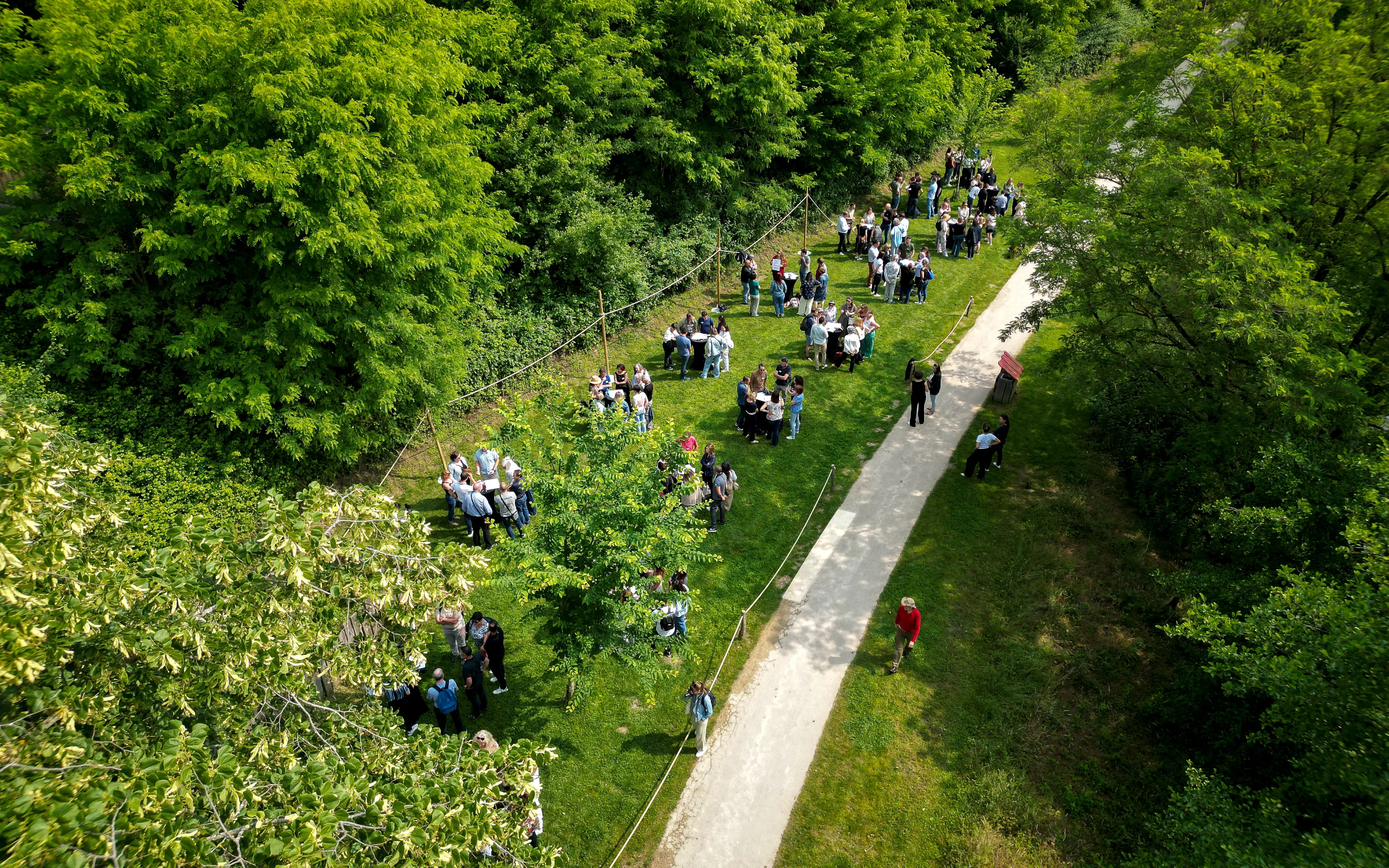 Bois des Lutins Business 10
