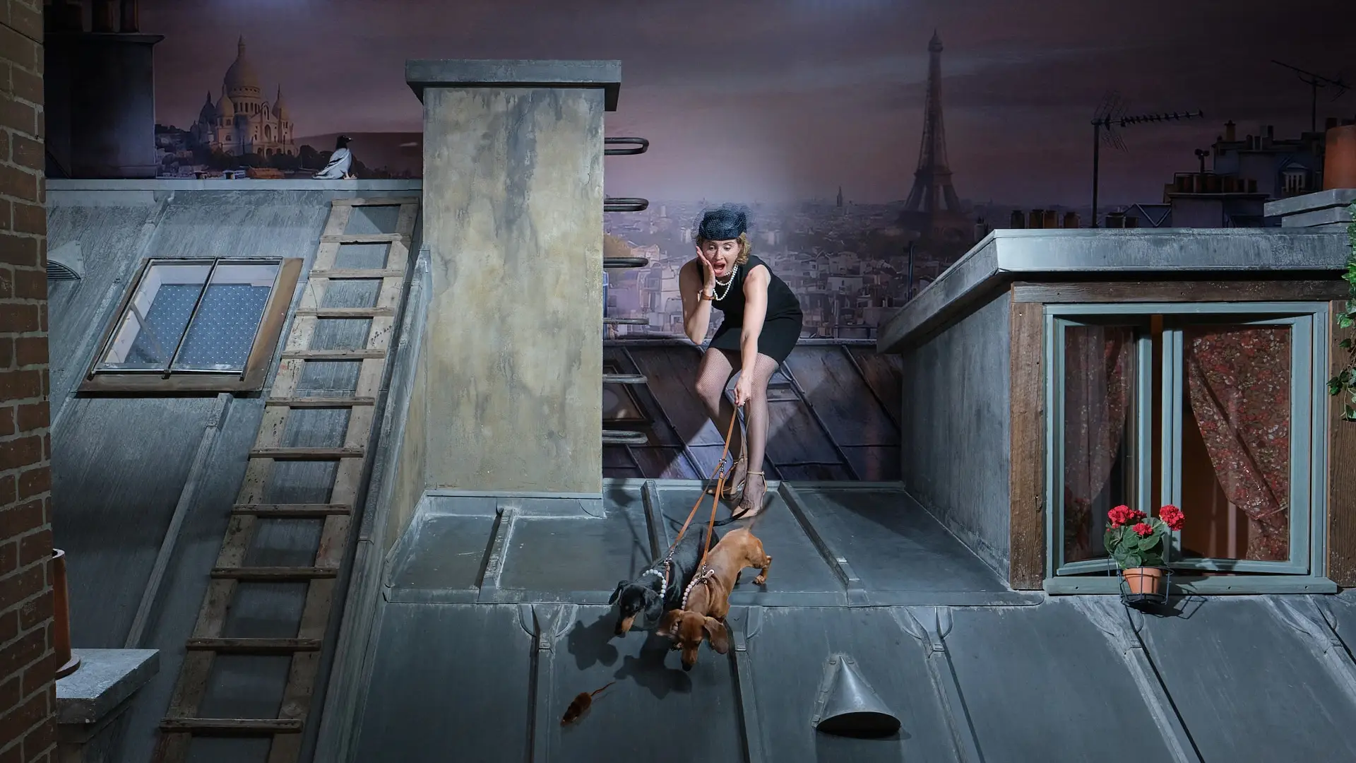 Vivez l'expérience du cinéma en photo