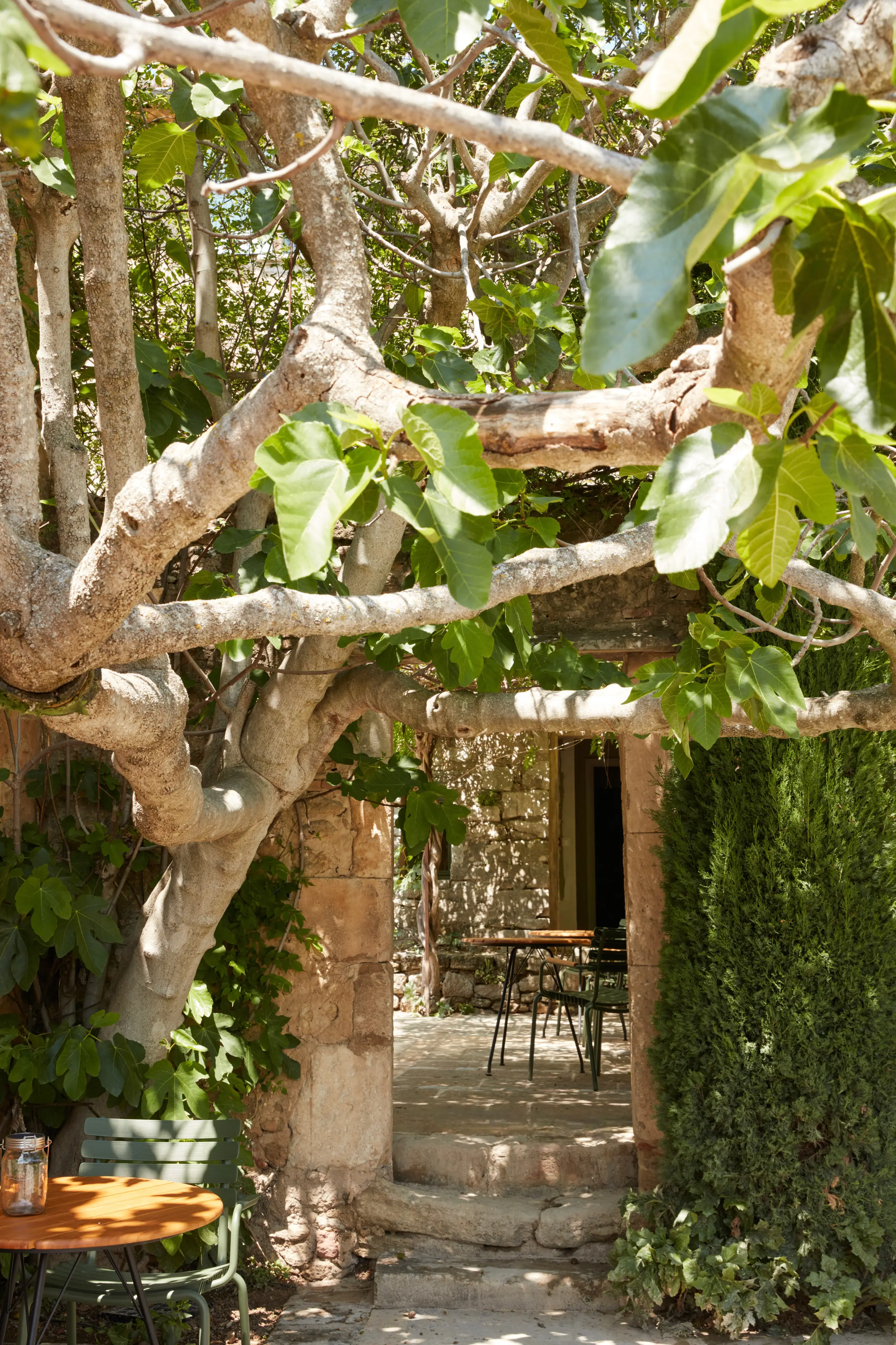 La Bastide du Mourre 9