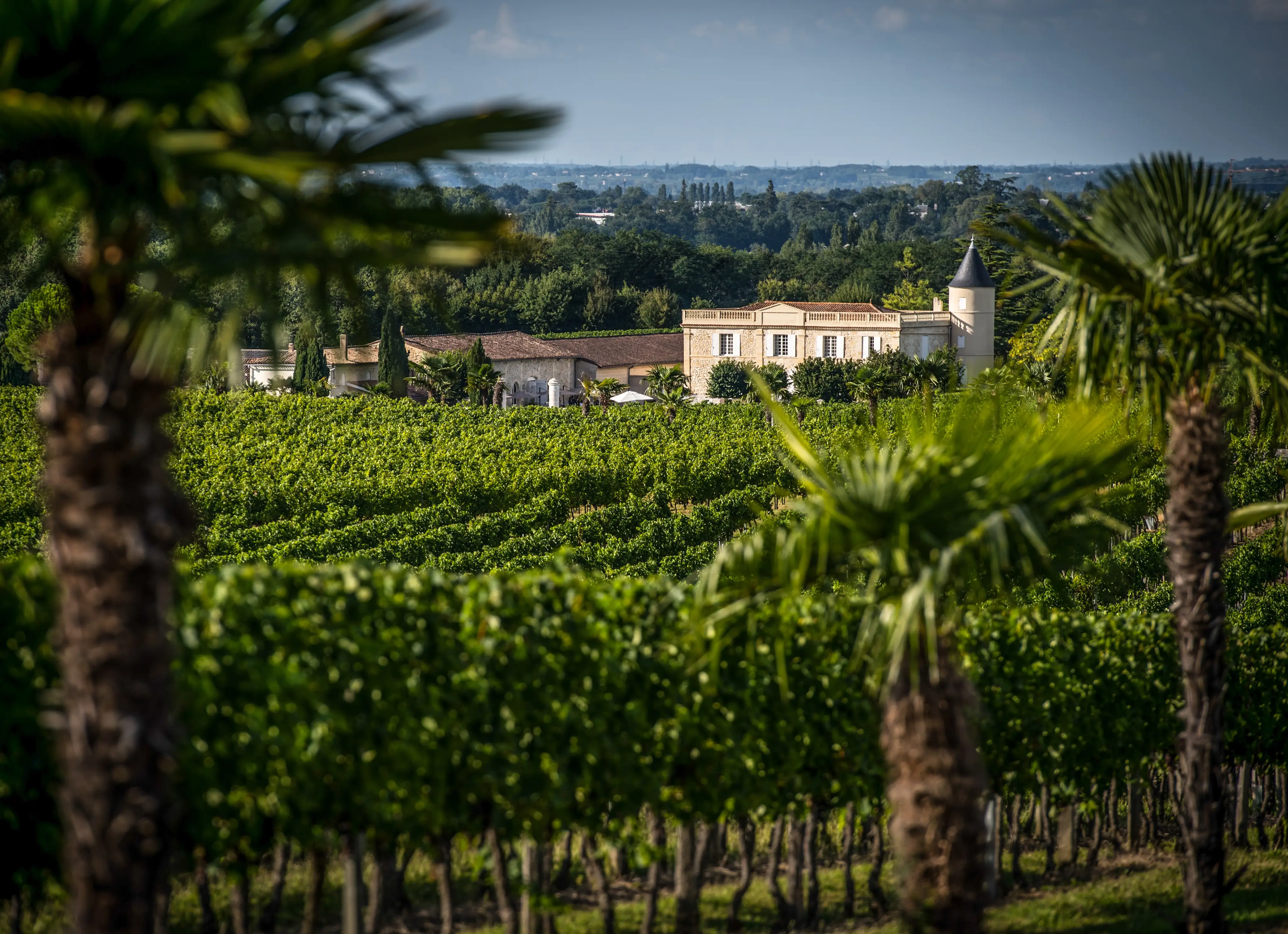 Château Lafitte 4