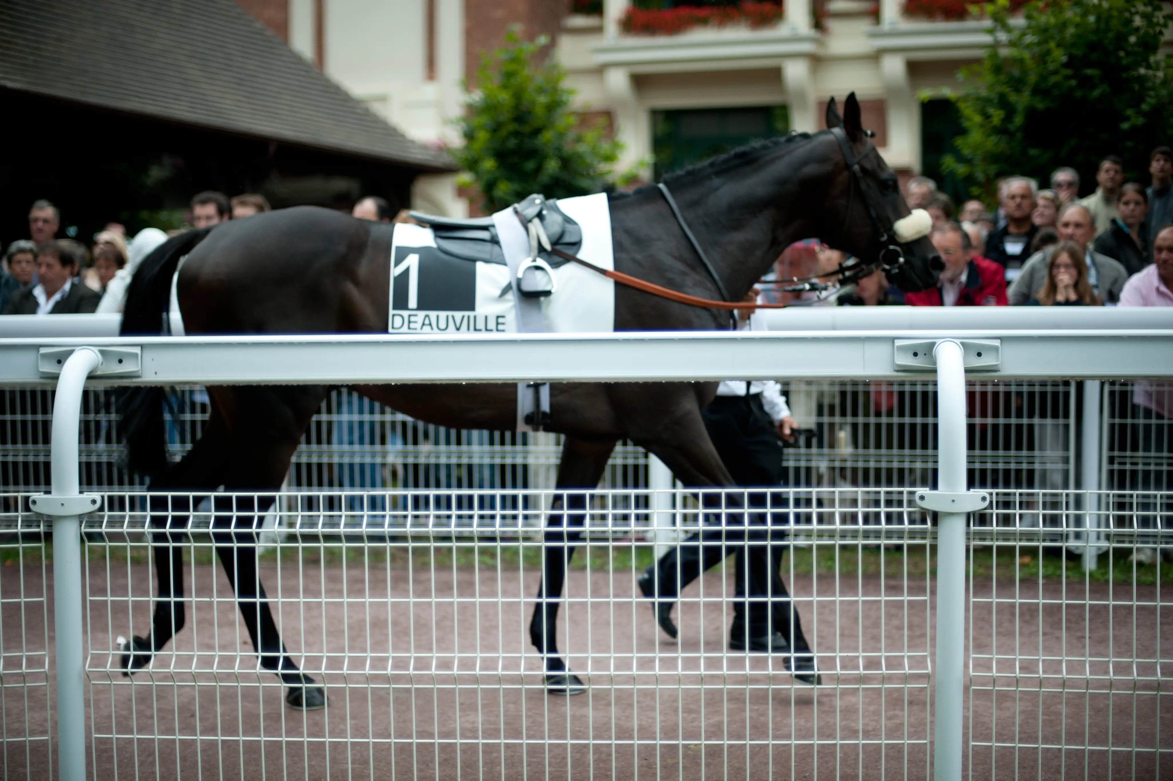 Centre International de Deauville 3