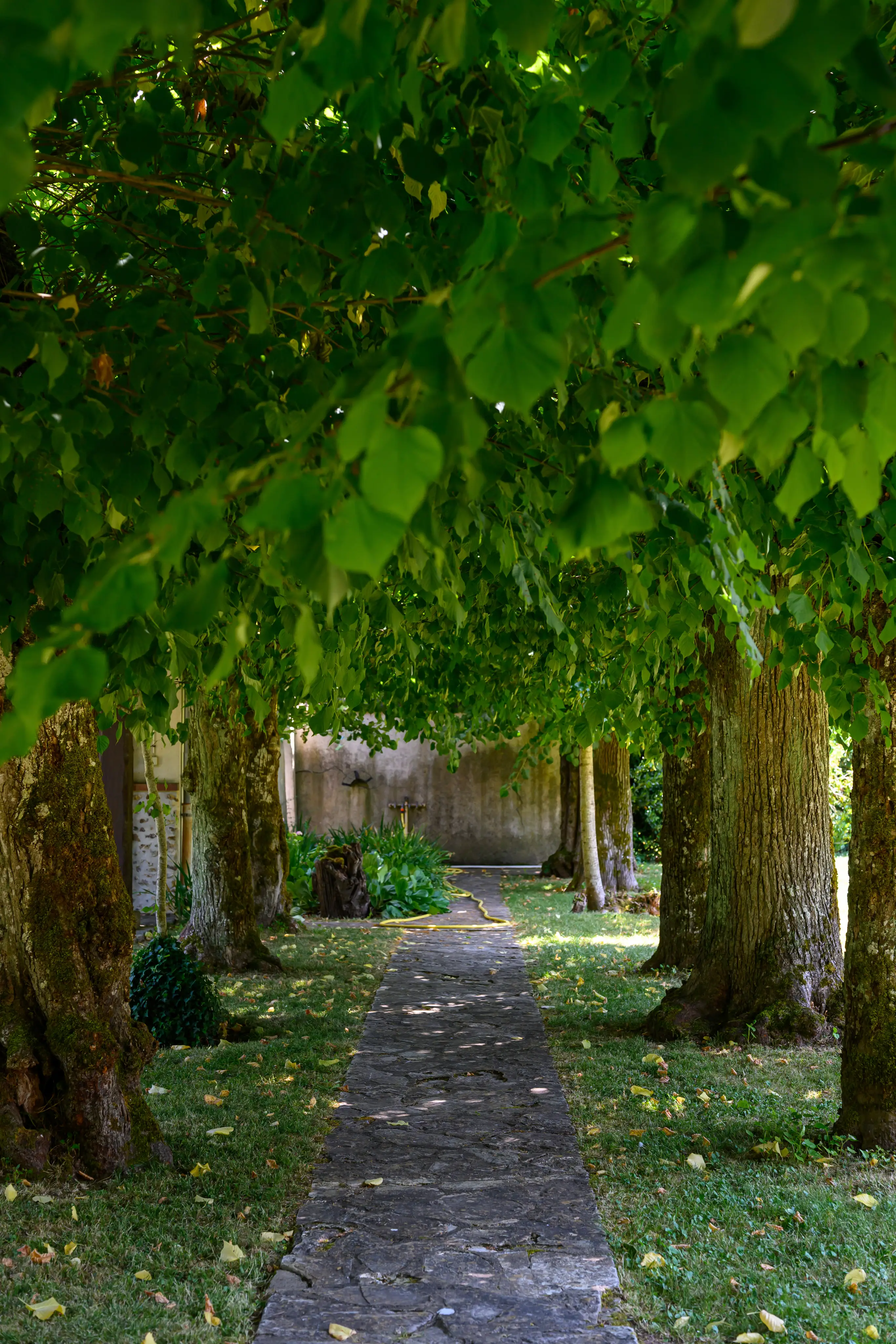 Manoir de Vaux 27