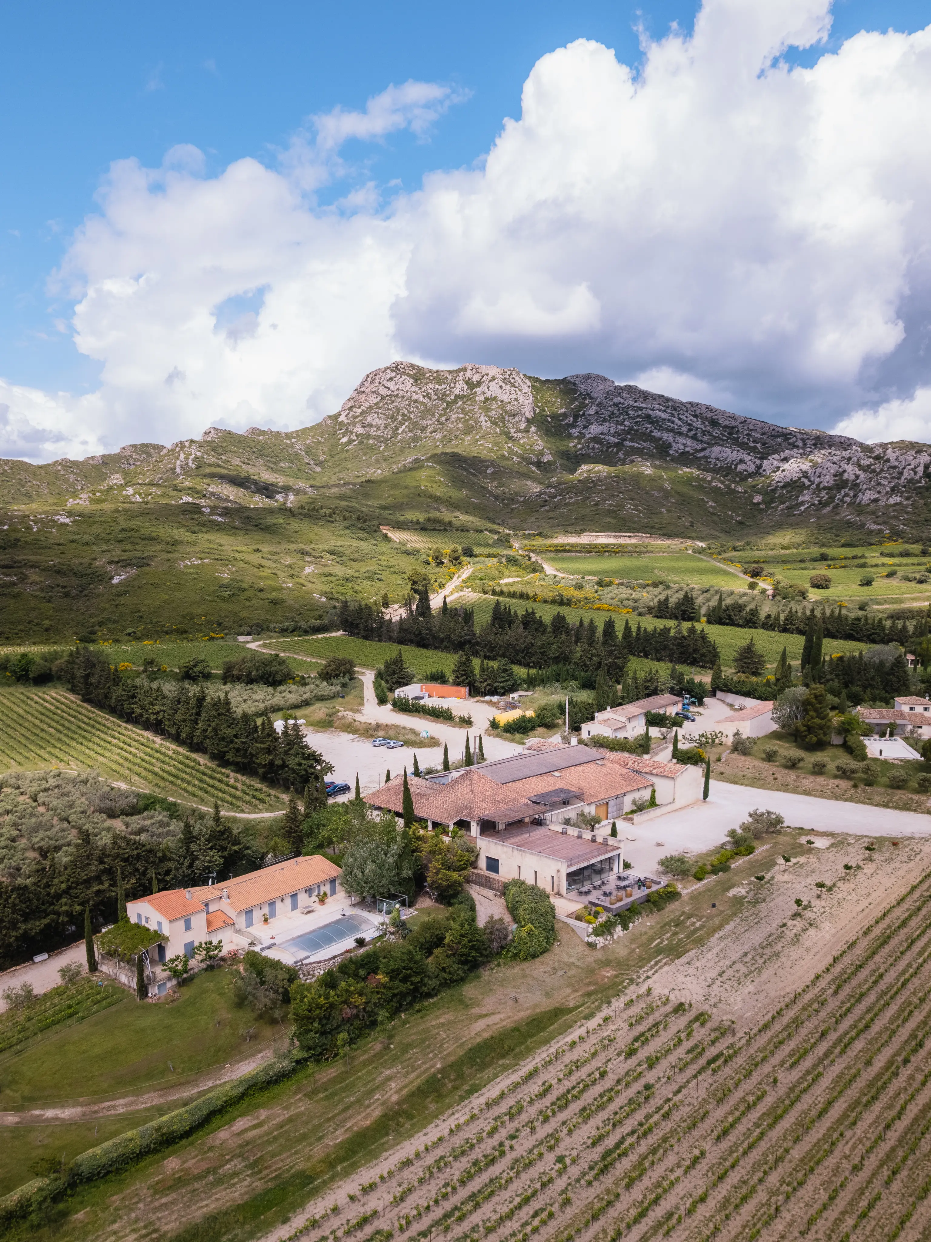 Domaine ODDO Vallon des Glauges