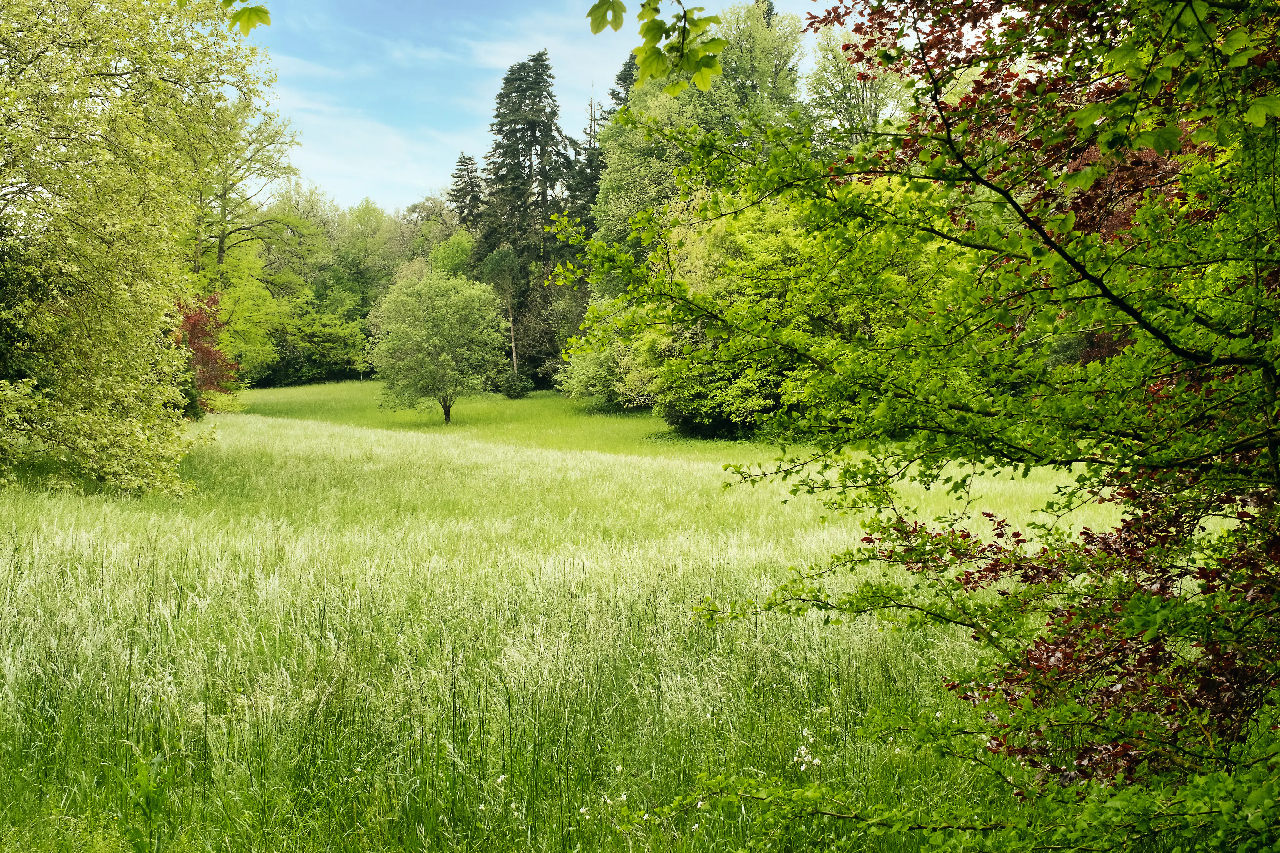 Domaine de Camboyer 7