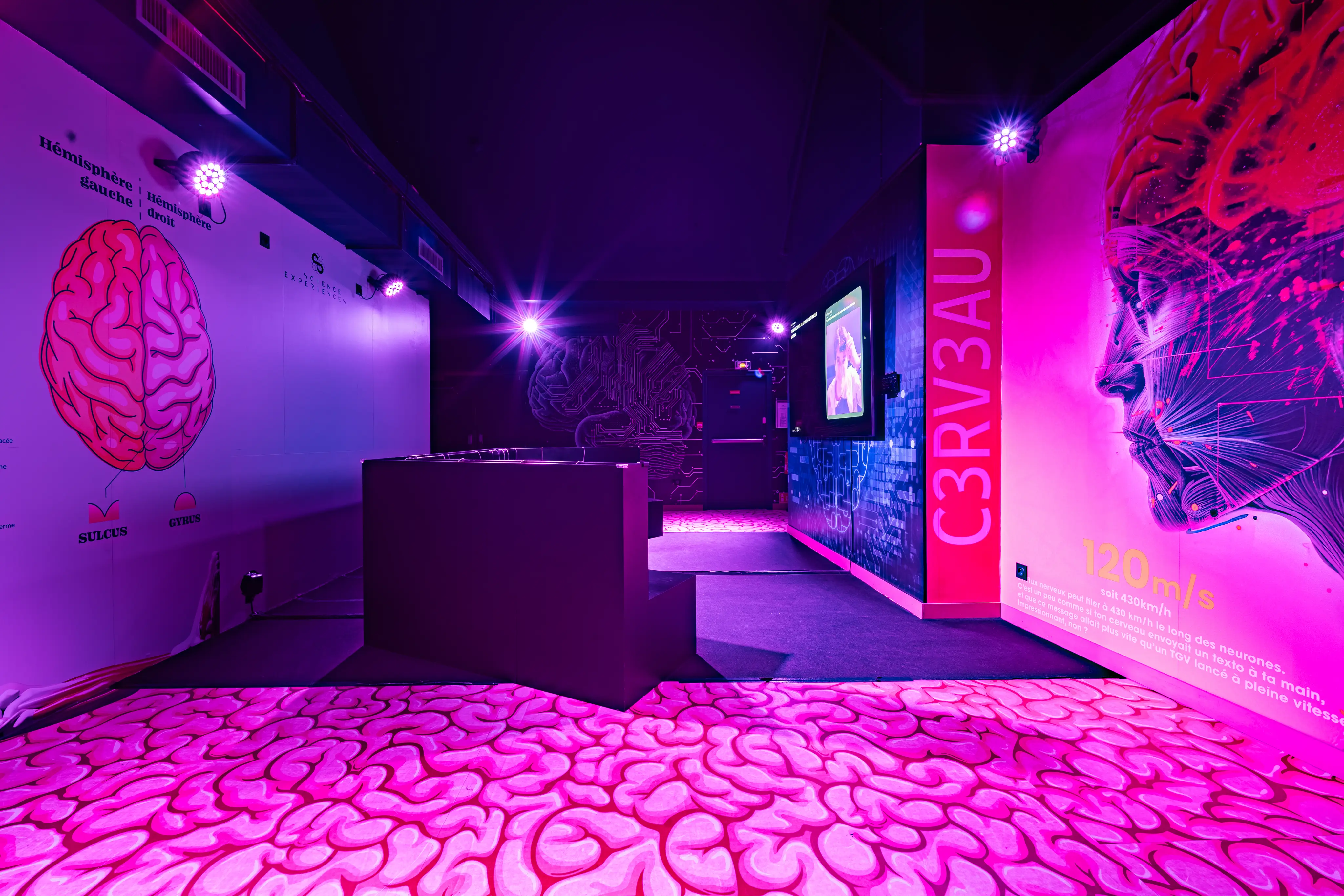 Science Experiences Lyon 2