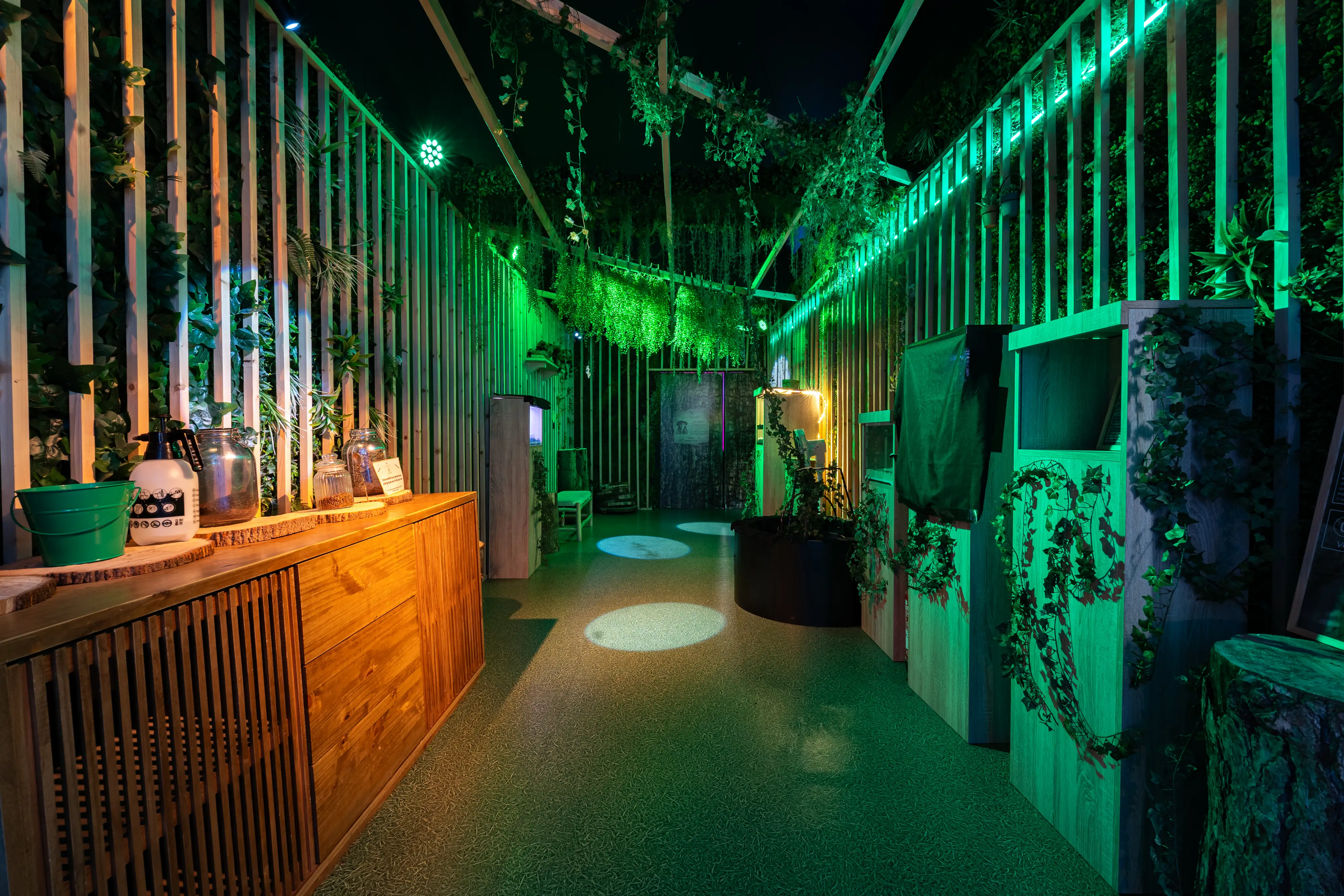 Science Experiences Lyon 3