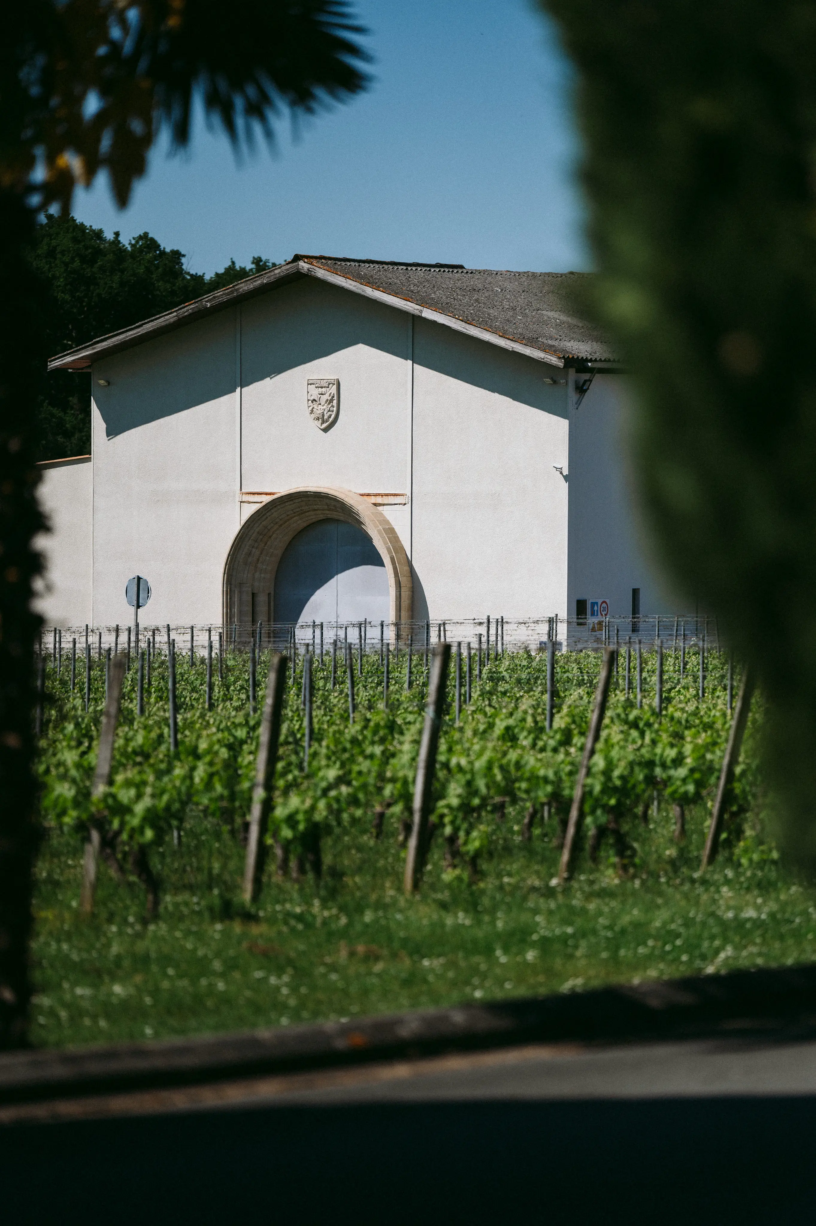 Château Lafitte 28