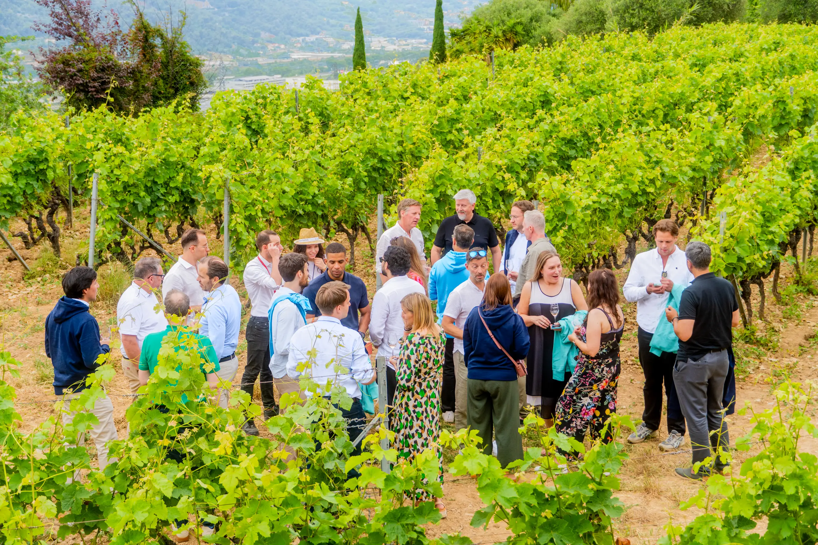 Domaine de Toasc 4
