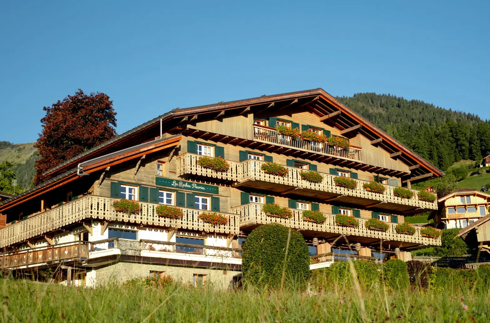 Les Roches Fleuries****