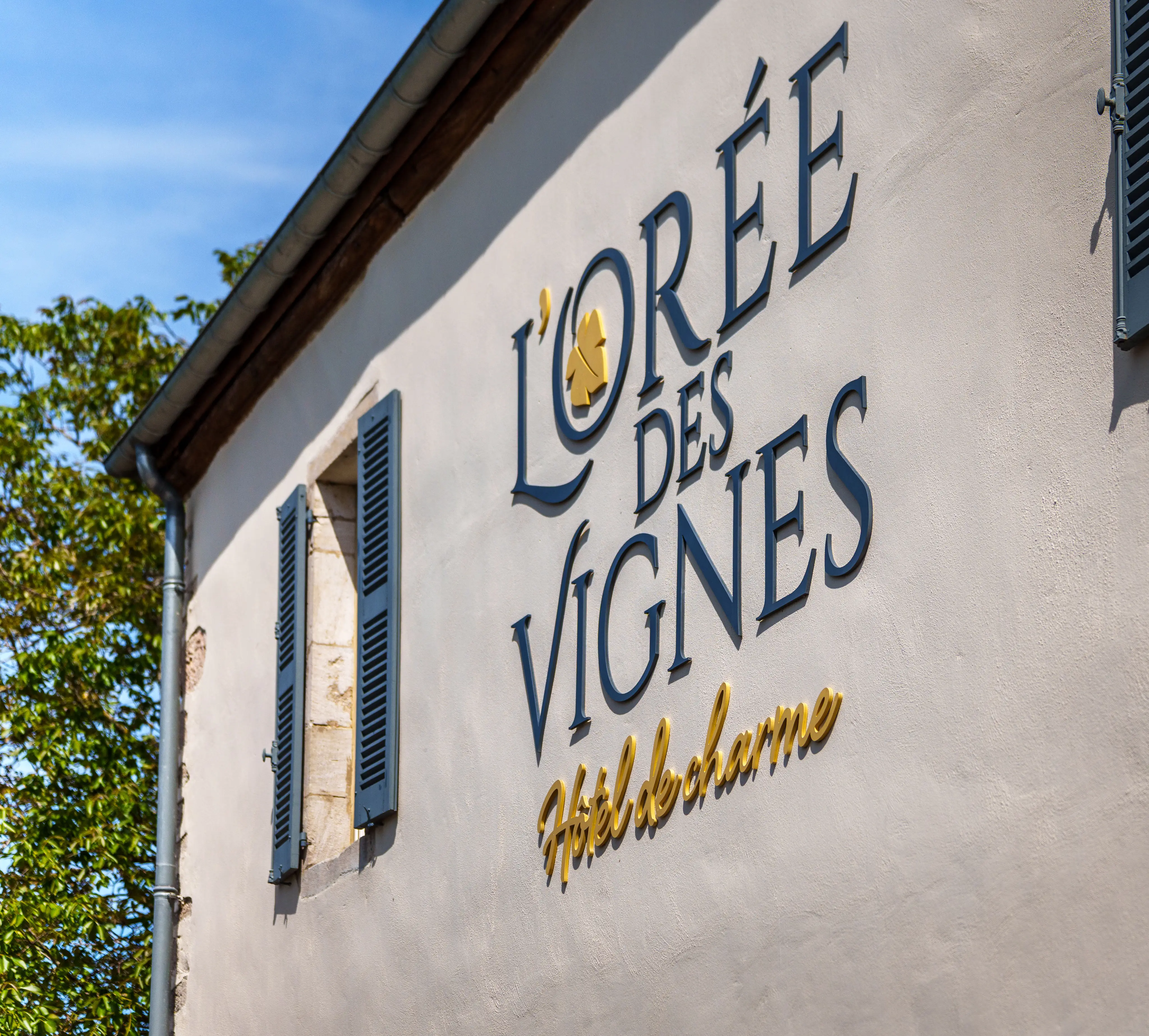 L'Orée des Vignes 21