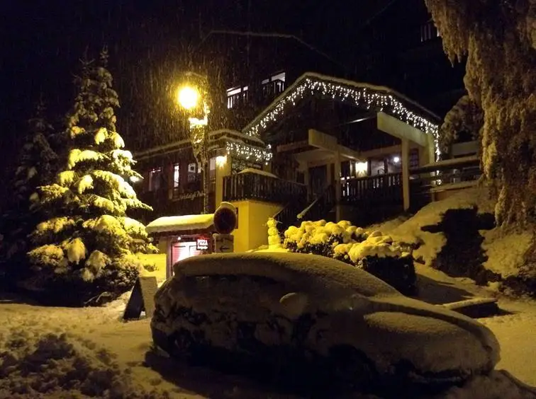 Chalet Hôtel - Les Rhododendrons 6